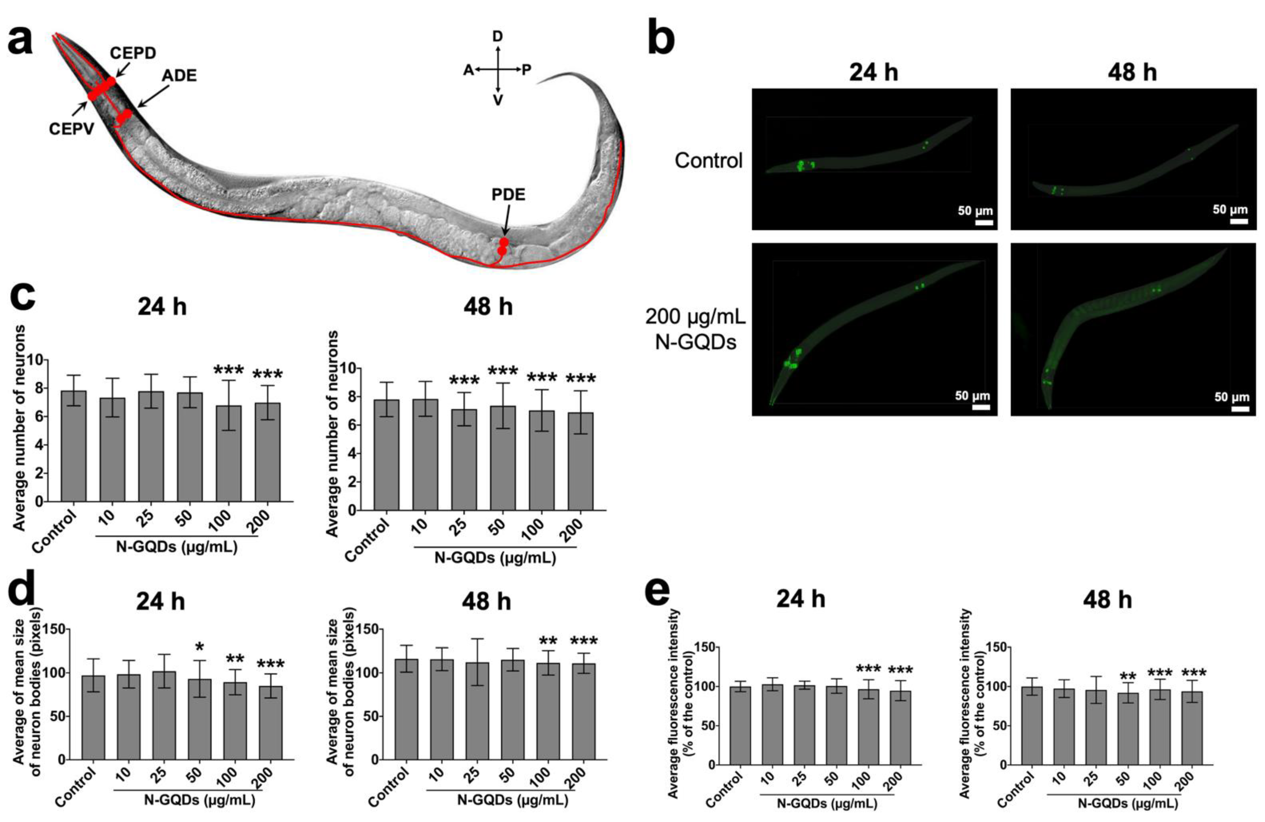 Nanomaterials 11 03314 g006 Nanomaterials 11 03314 g006
