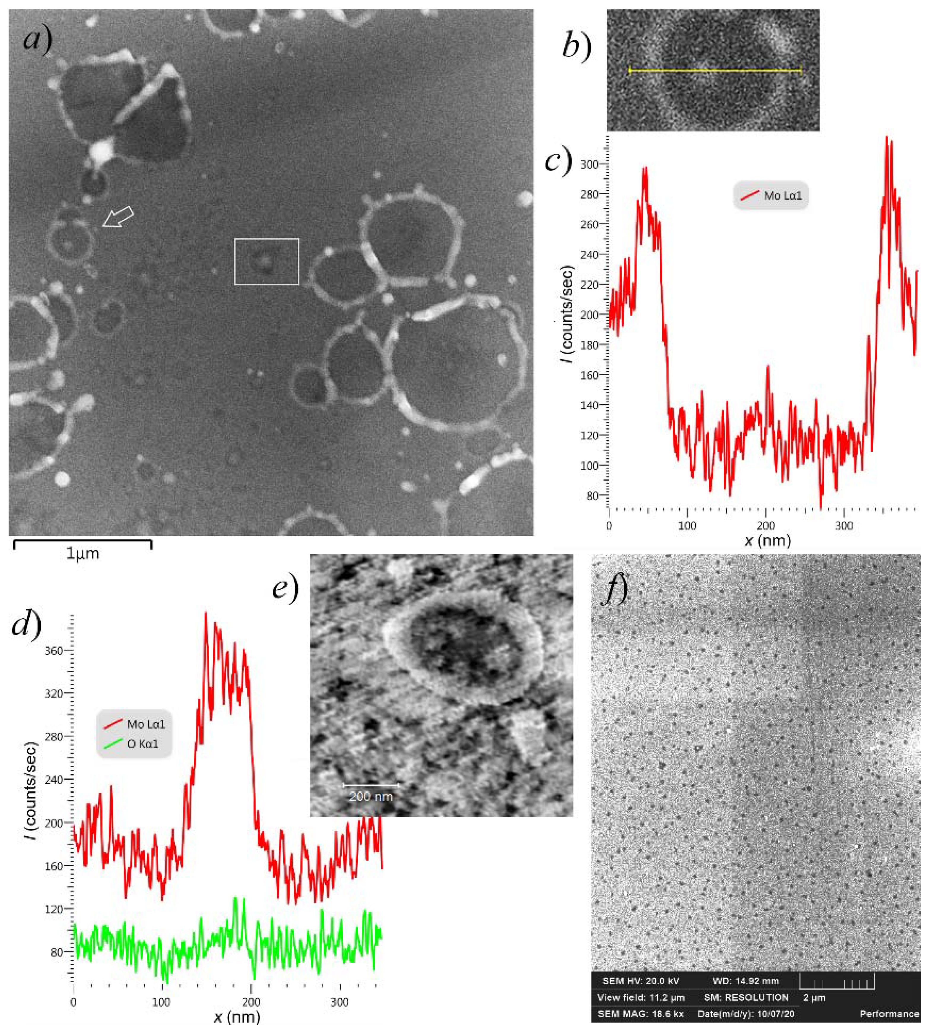 Nanomaterials 11 03350 g008