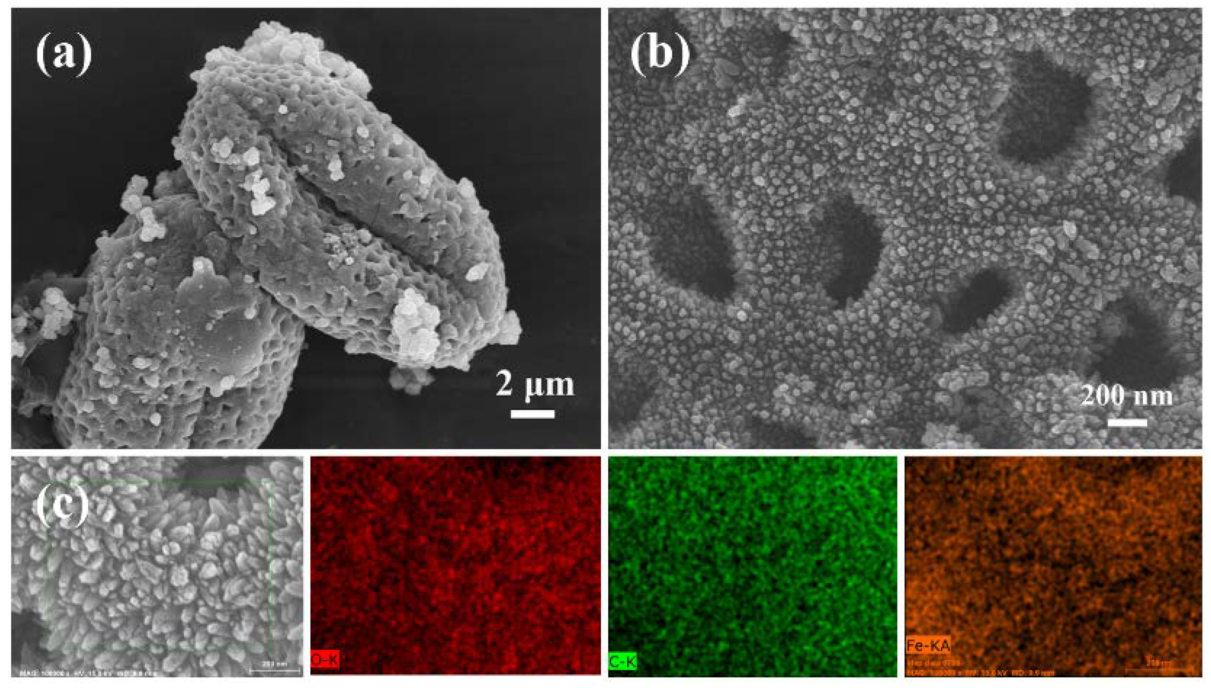 Nanomaterials 11 03355 g002