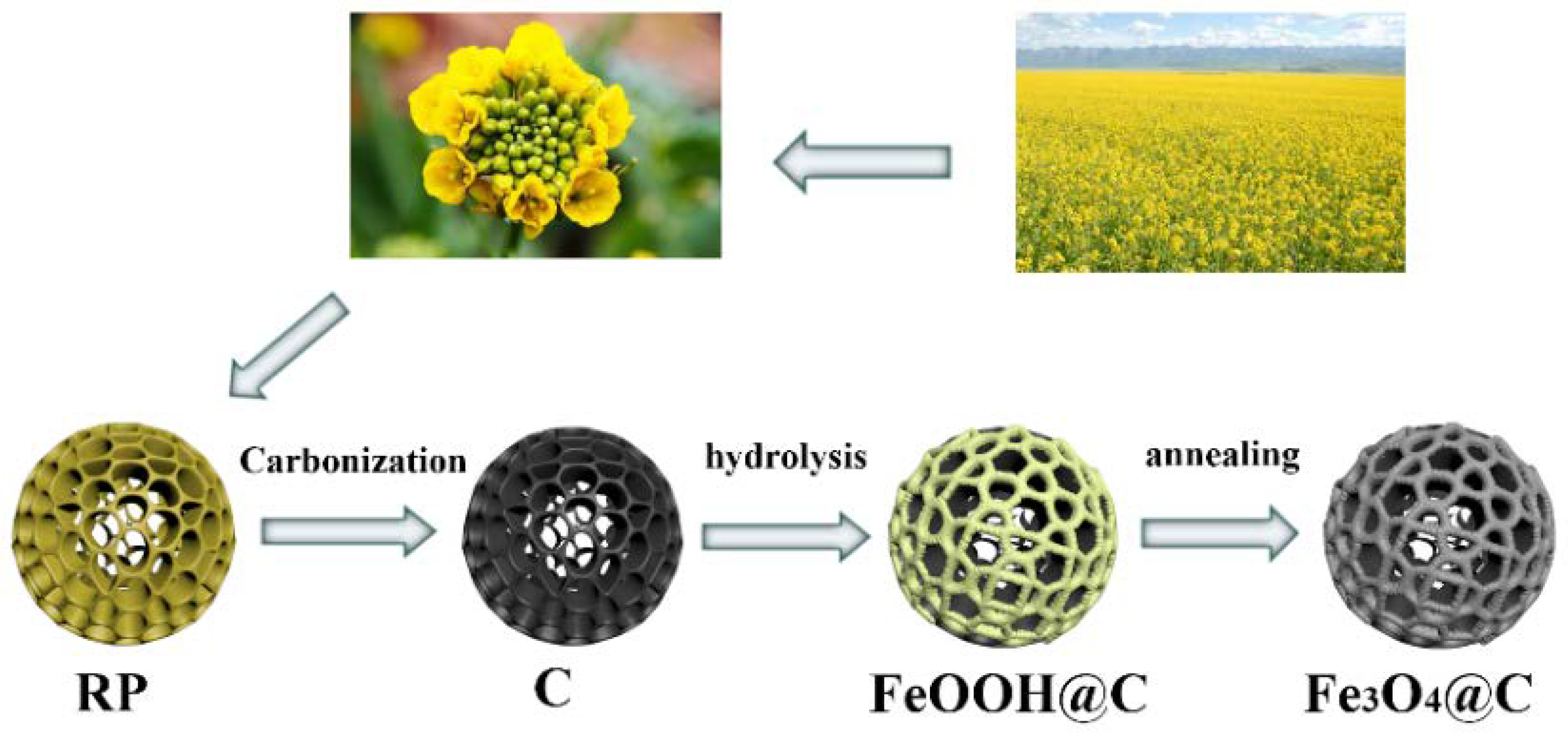 Nanomaterials 11 03355 sch001