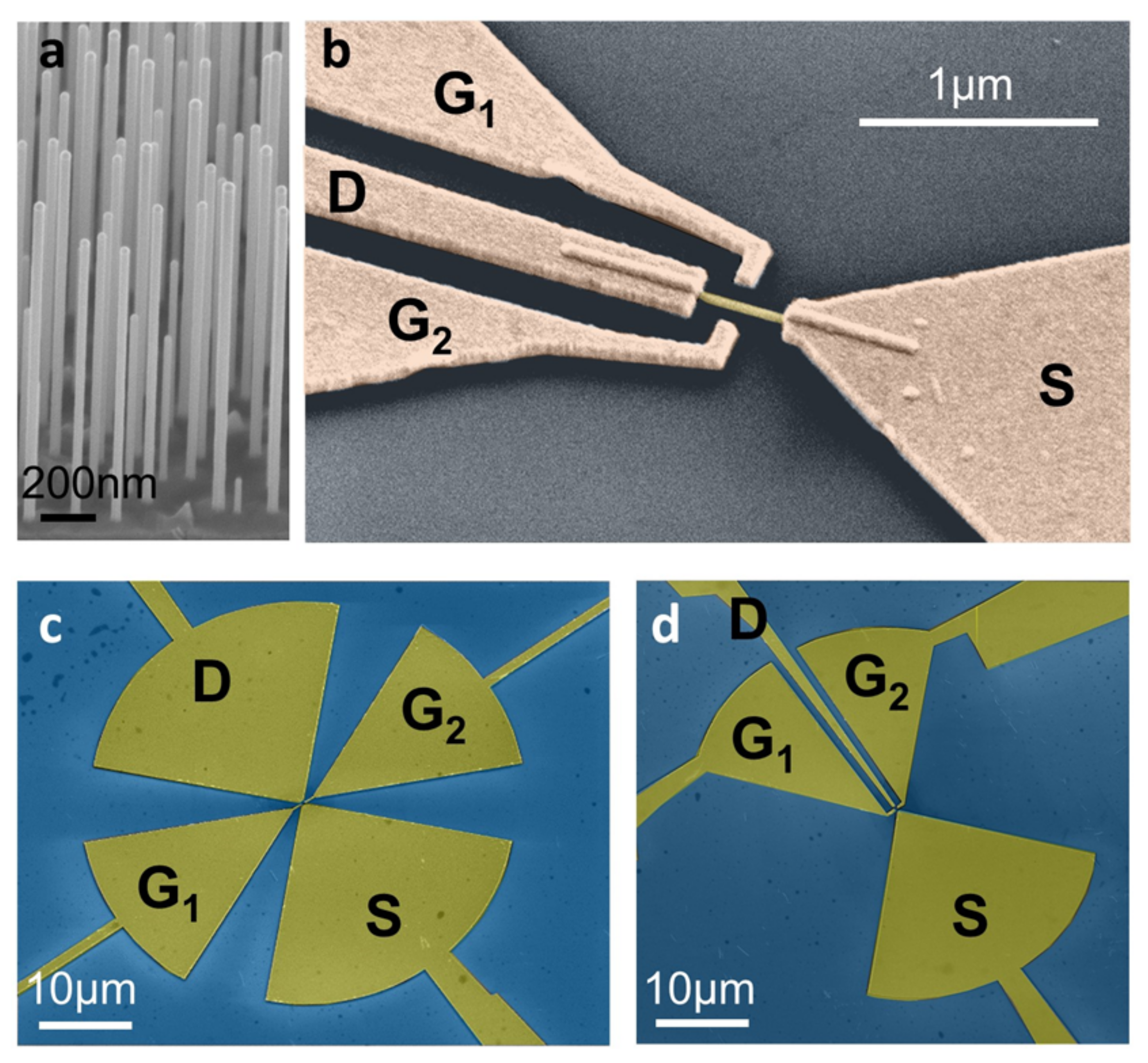 Nanomaterials | Free Full-Text | Semiconductor Nanowire Field-Effect  Transistors as Sensitive Detectors in the Far-Infrared | HTML