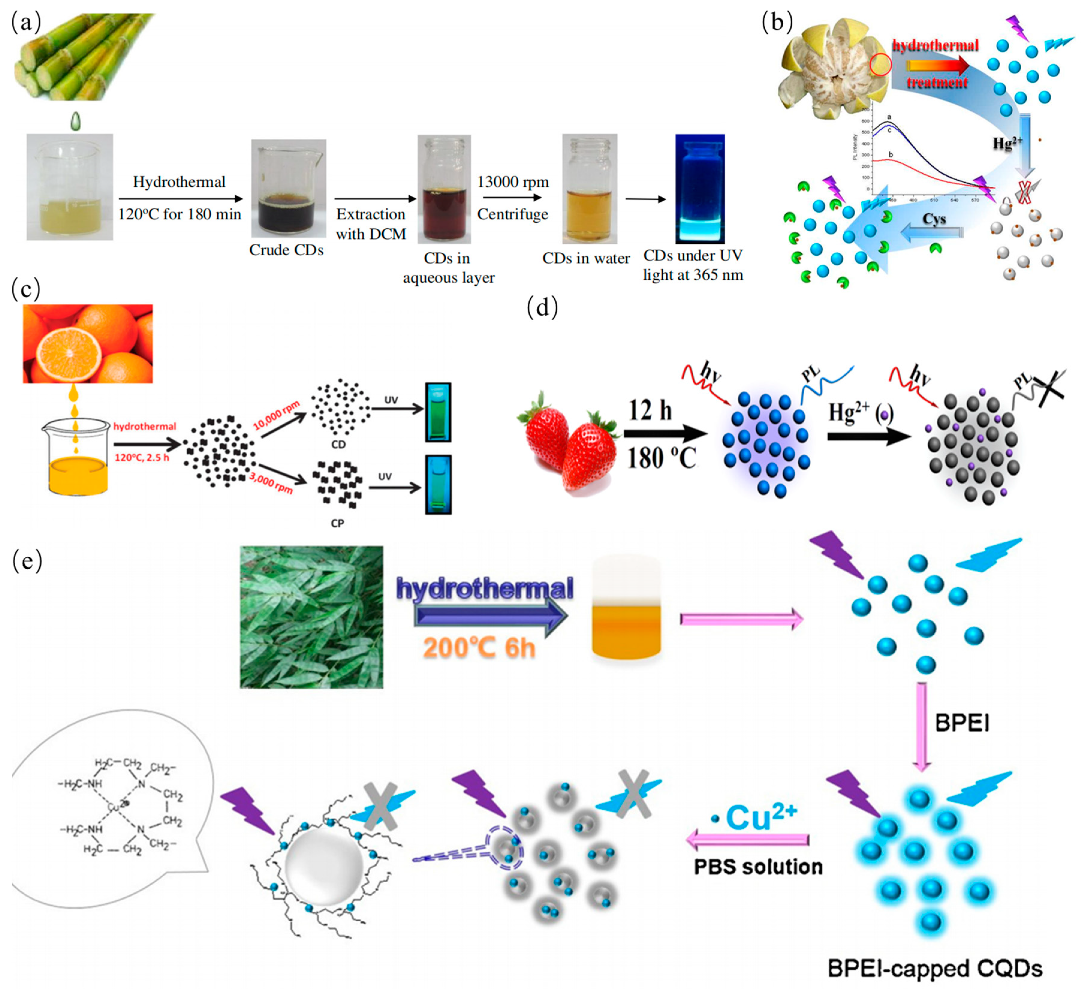 Nanomaterials 11 03419 g006