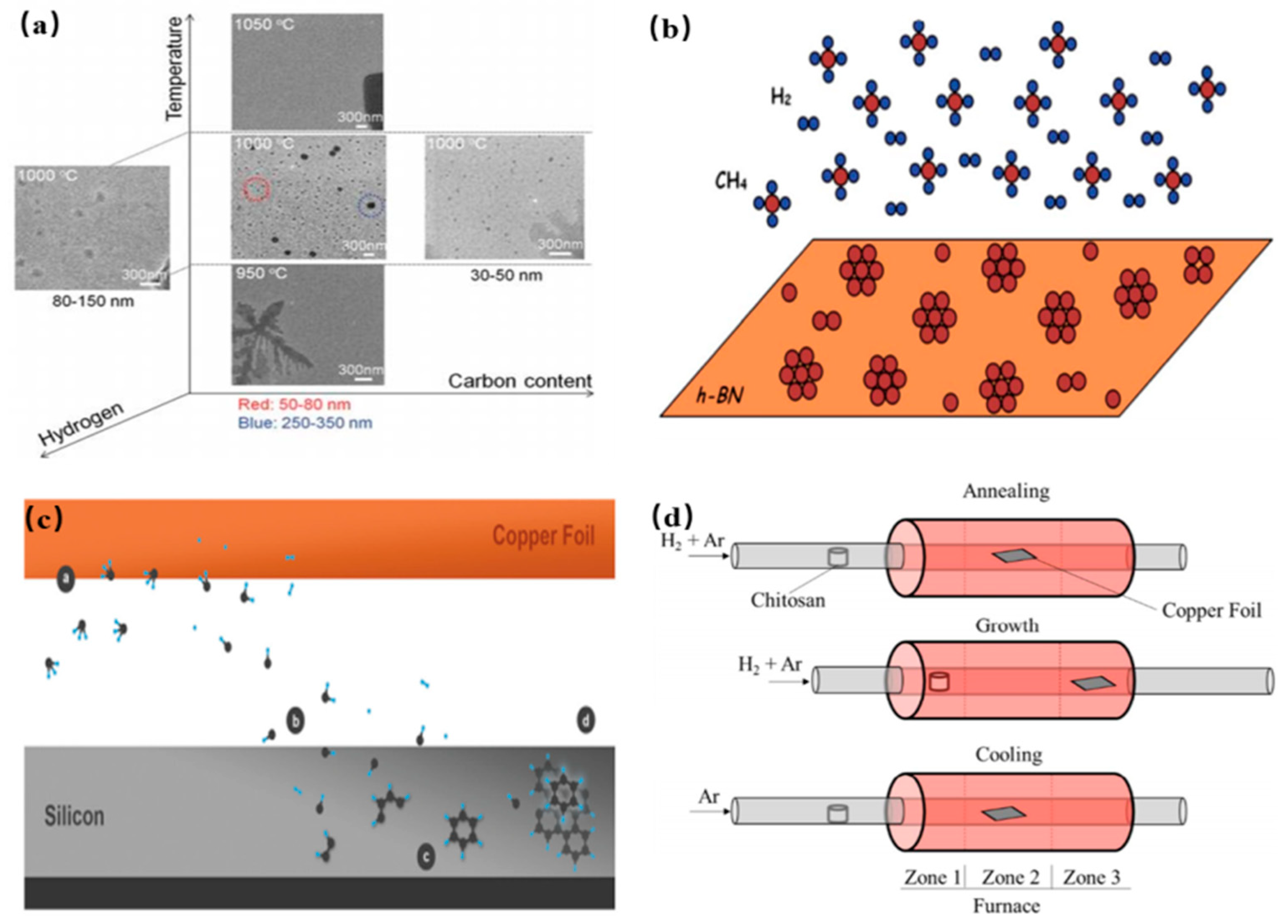Nanomaterials 11 03419 g009