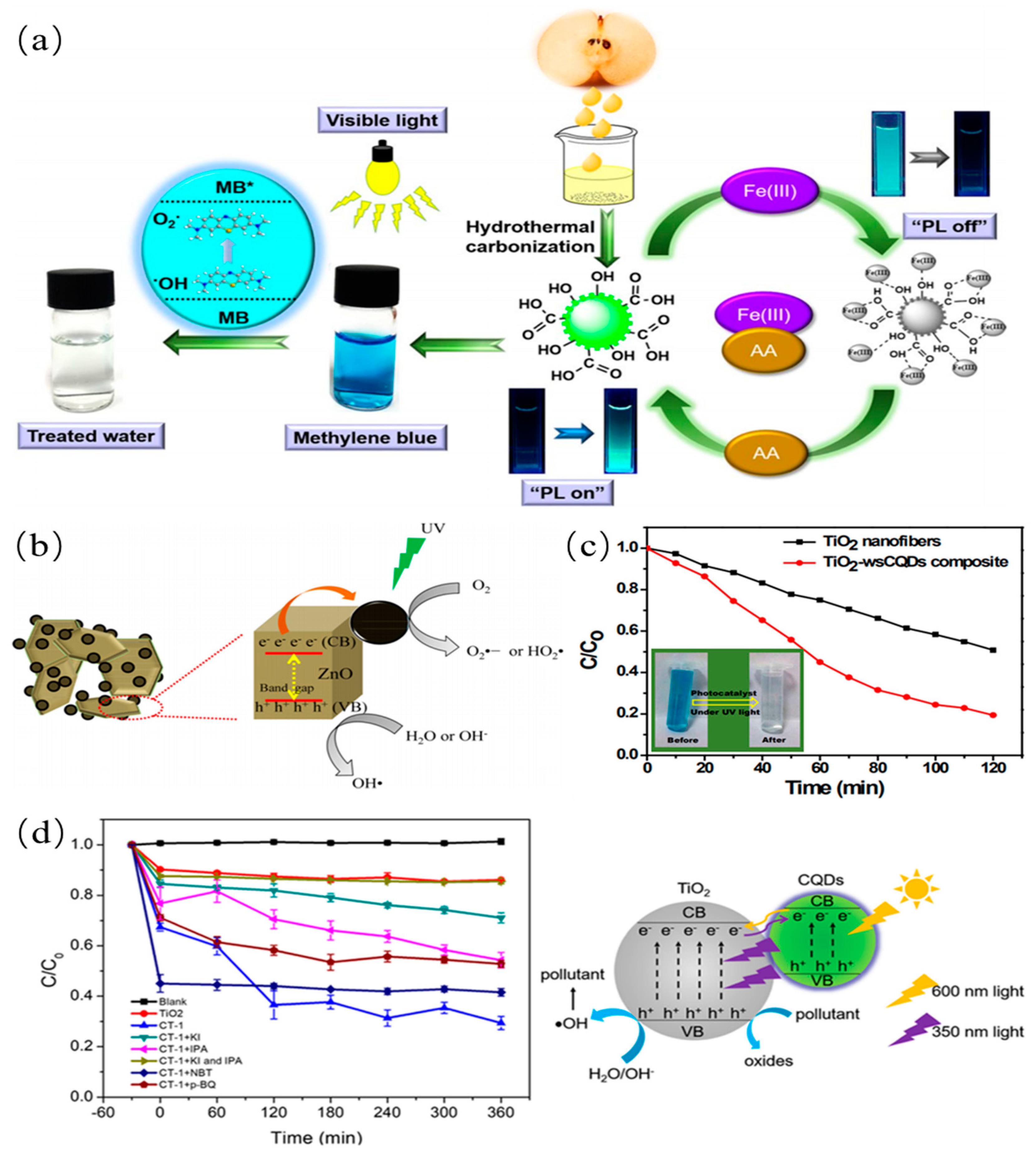 Nanomaterials 11 03419 g017
