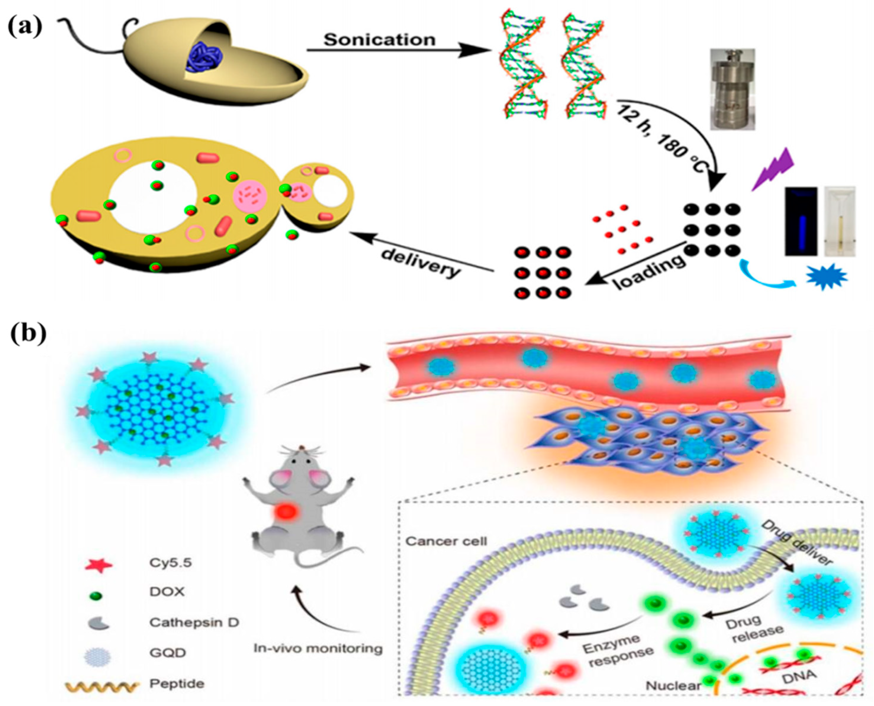 Nanomaterials 11 03419 g022