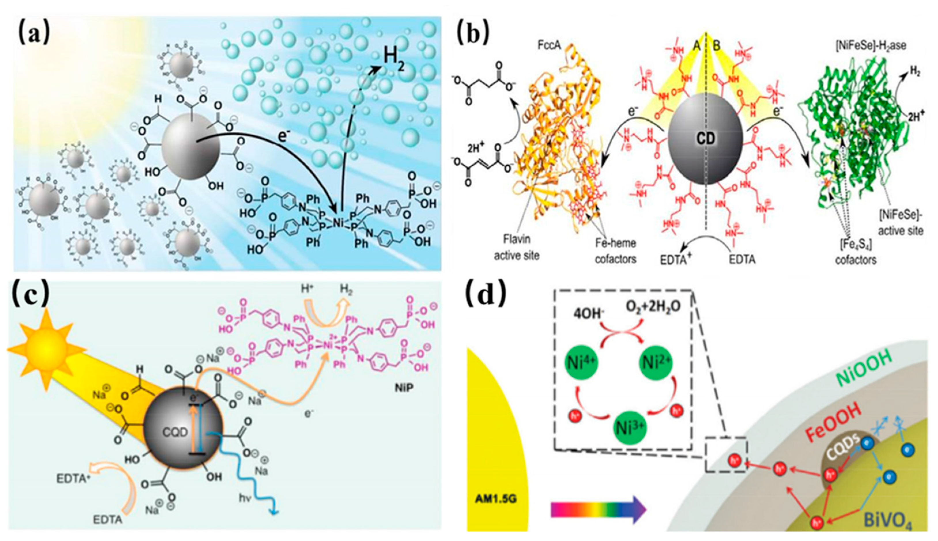 Nanomaterials 11 03419 g024
