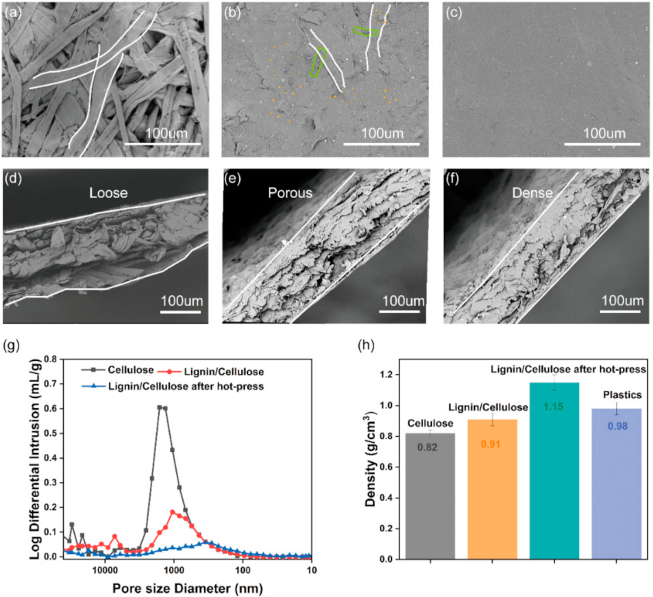 Nanomaterials 11 03426 g003
