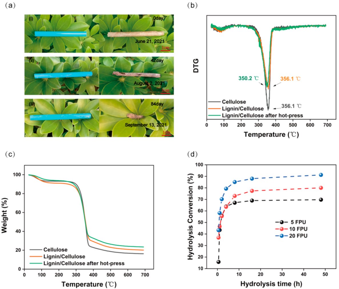 Nanomaterials 11 03426 g006