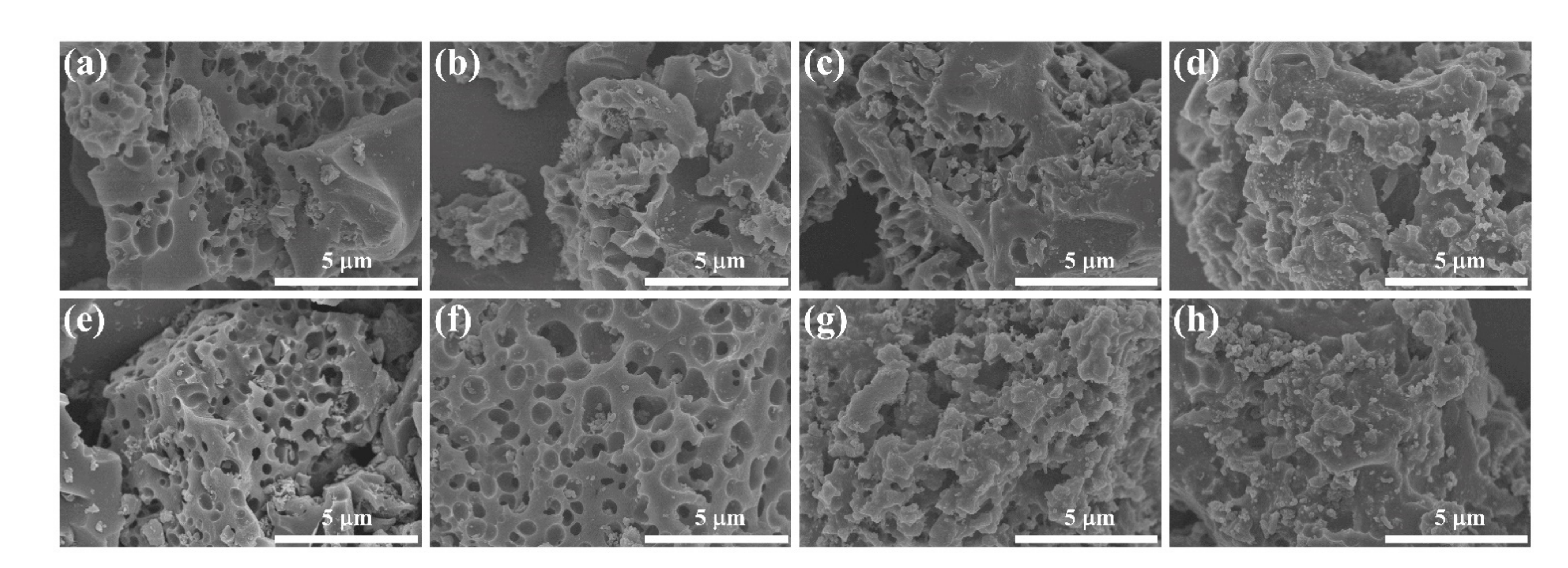 Nanomaterials 11 03429 g001