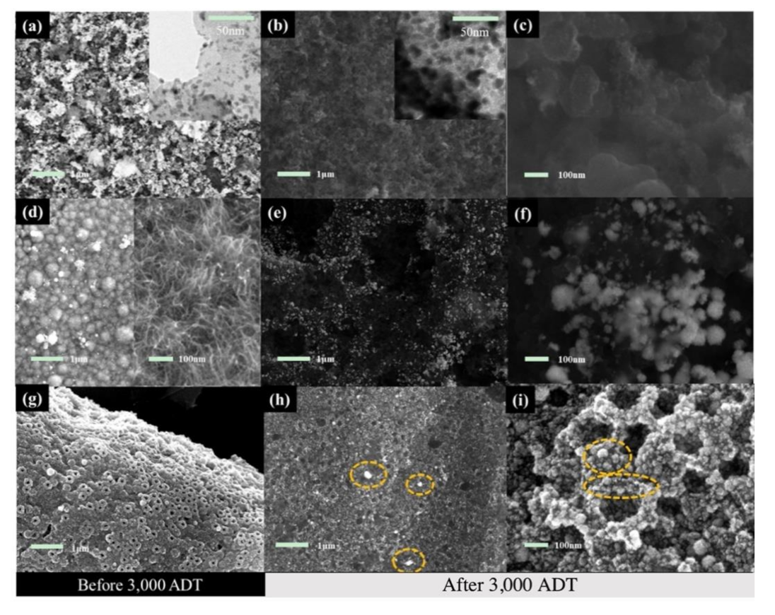 Nanomaterials 11 03462 g007