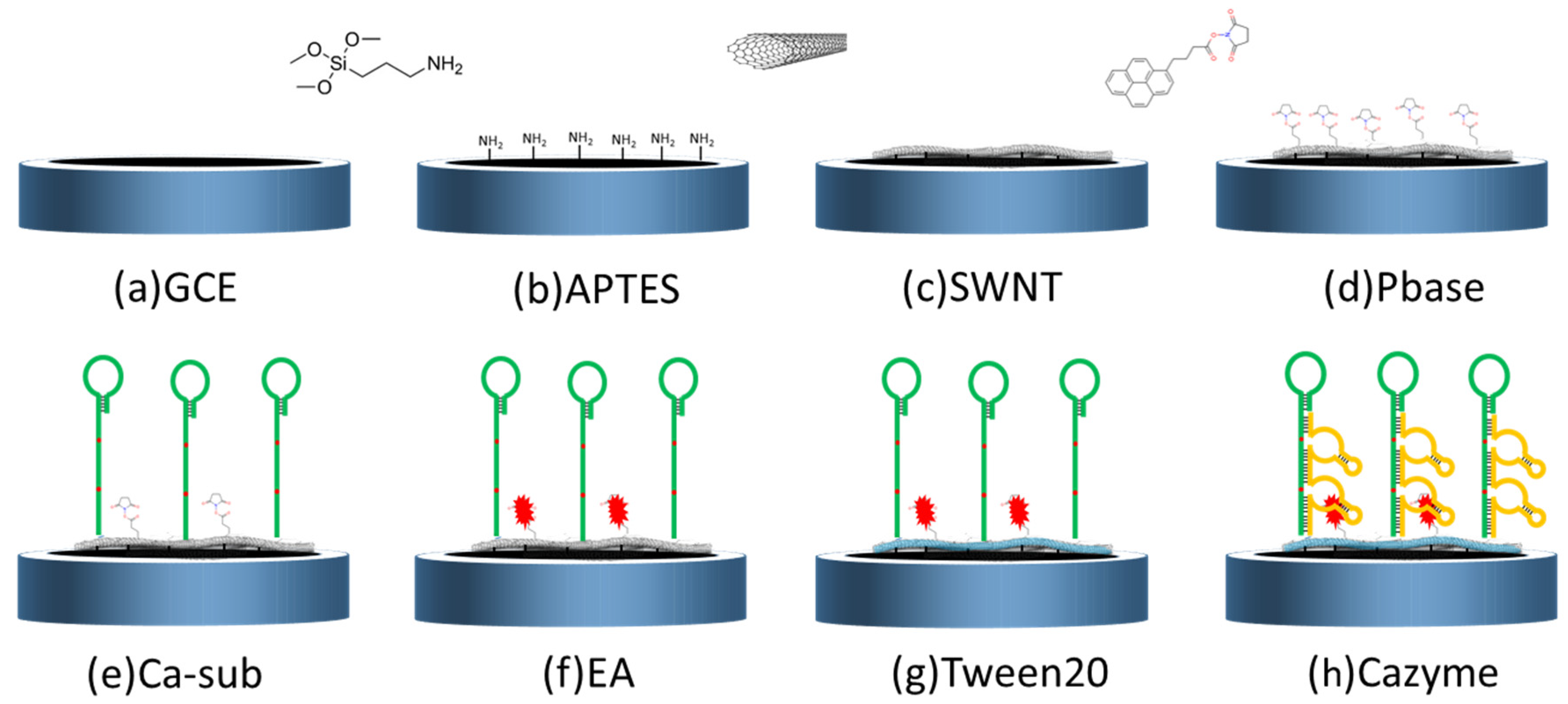 Nanomaterials 12 00004 g001