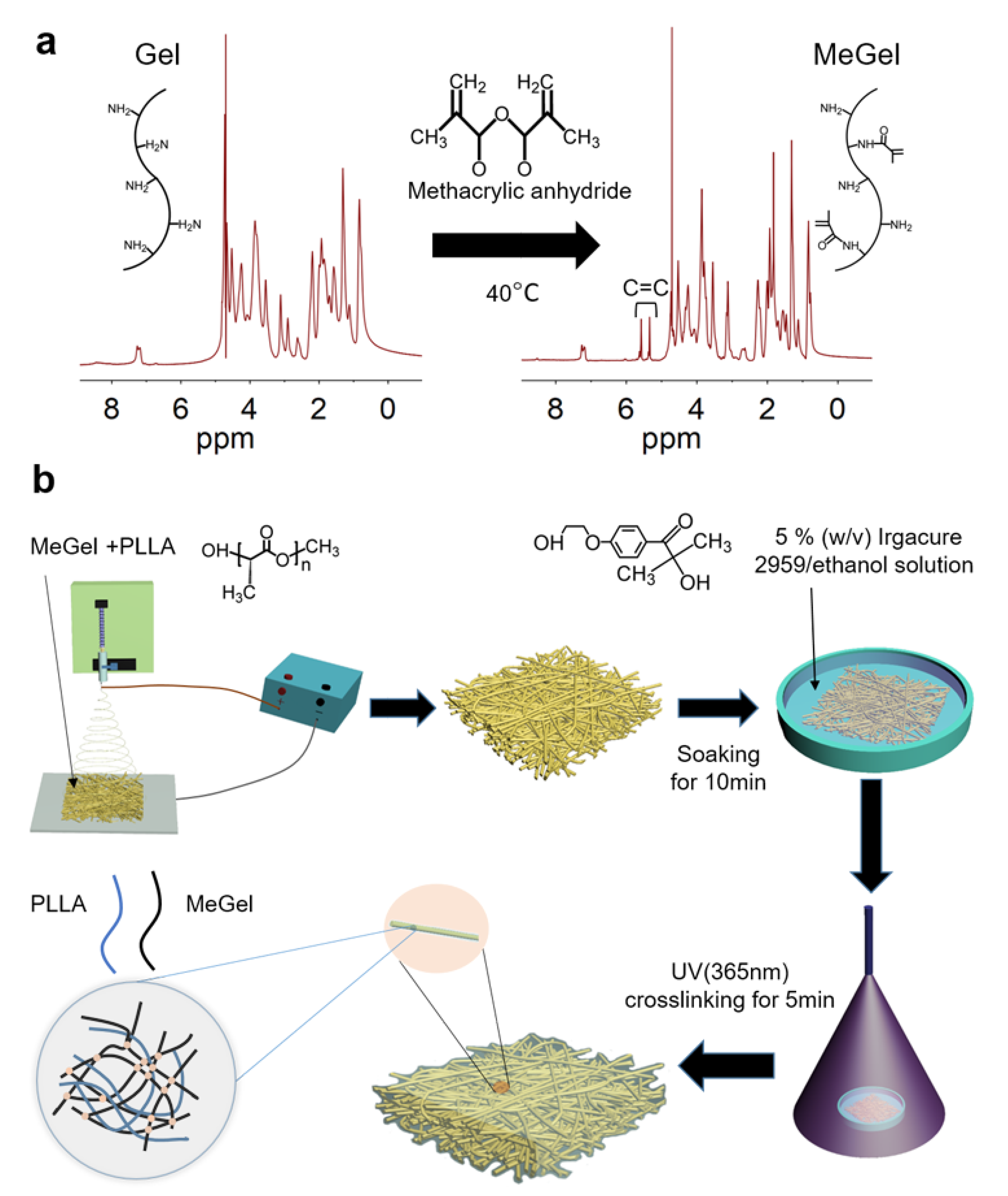 Nanomaterials 12 00006 g001