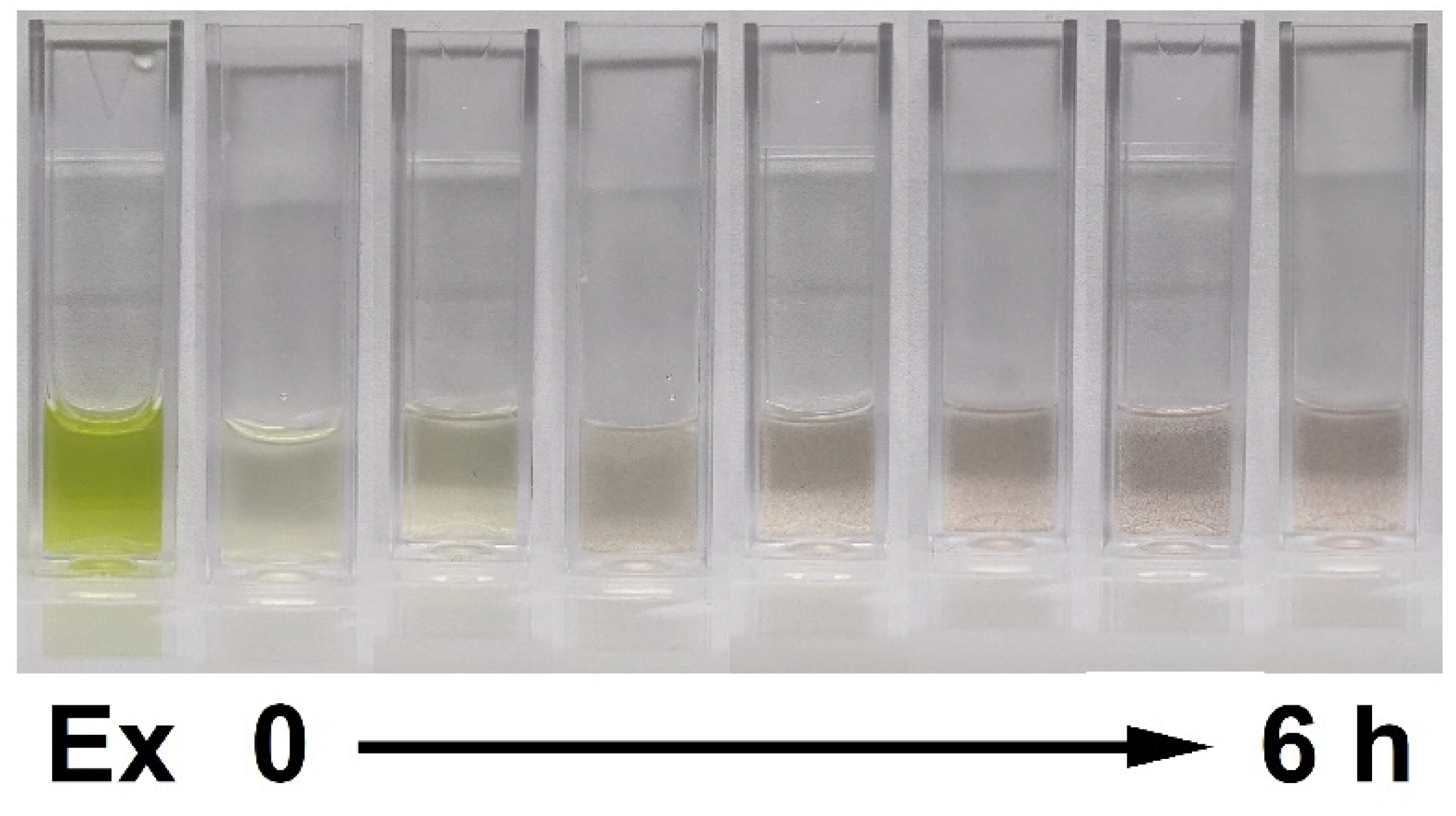 Nanomaterials 12 00028 g001 Nanomaterials 12 00028 g001