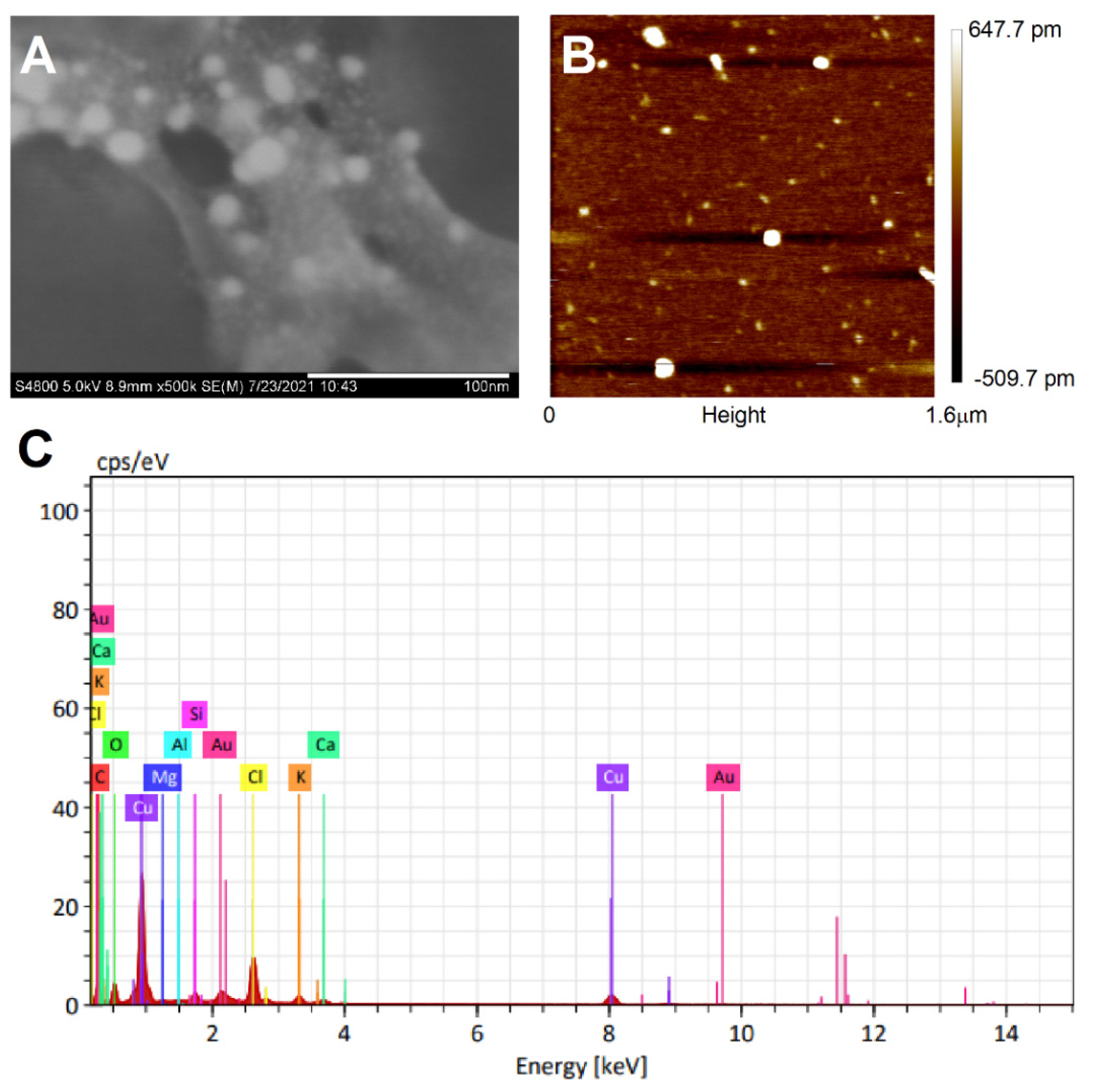 Nanomaterials 12 00028 g003 Nanomaterials 12 00028 g003