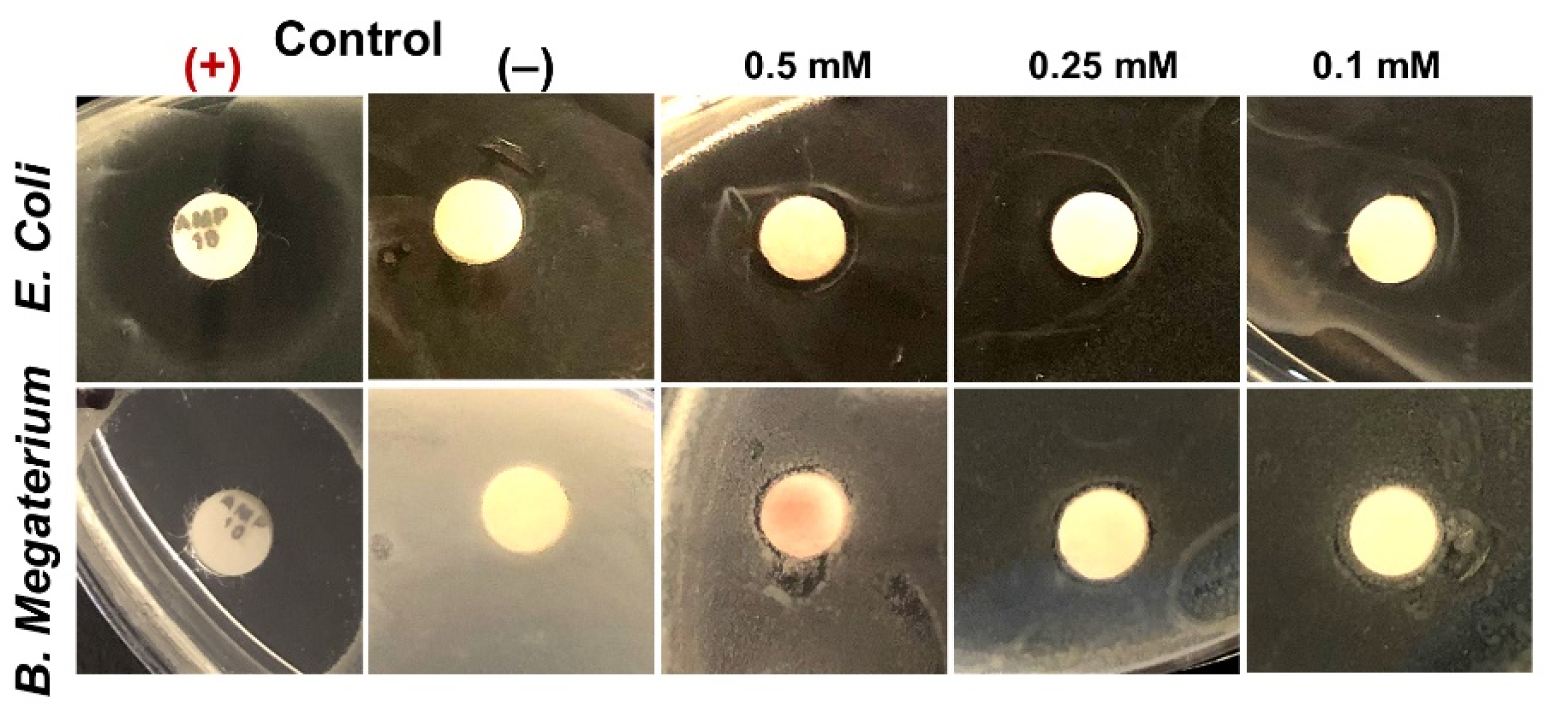 Nanomaterials 12 00028 g007 Nanomaterials 12 00028 g007