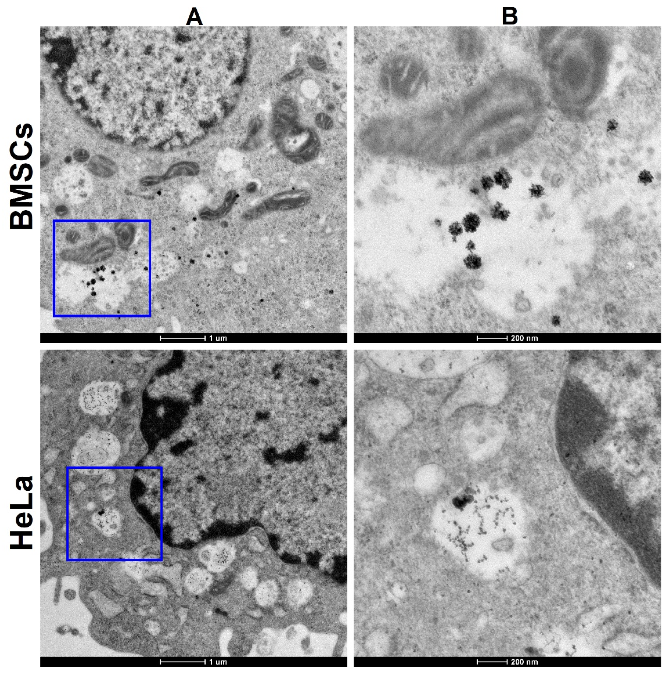 Nanomaterials 12 00028 g009 Nanomaterials 12 00028 g009