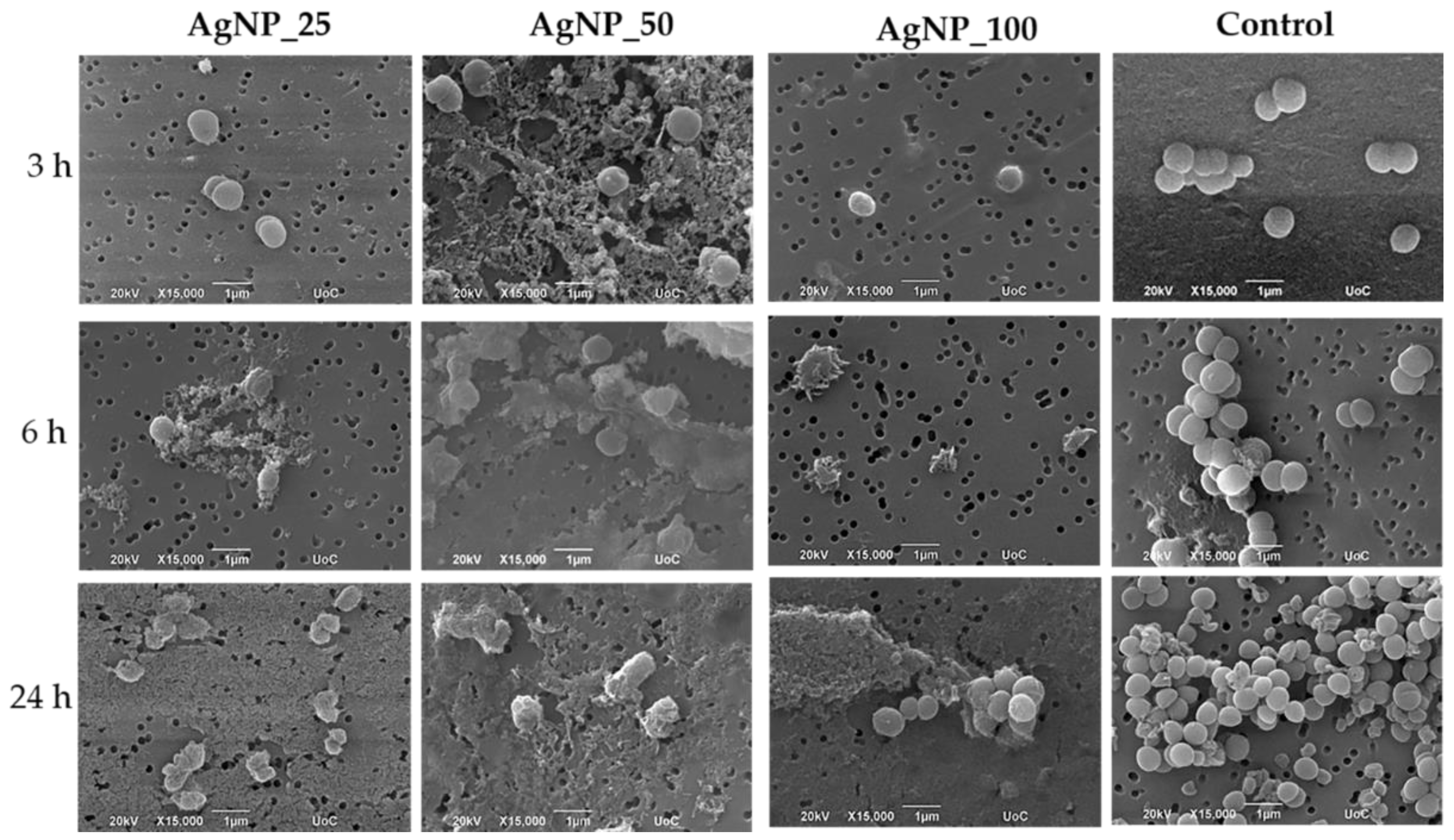 Nanomaterials 12 00031 g005