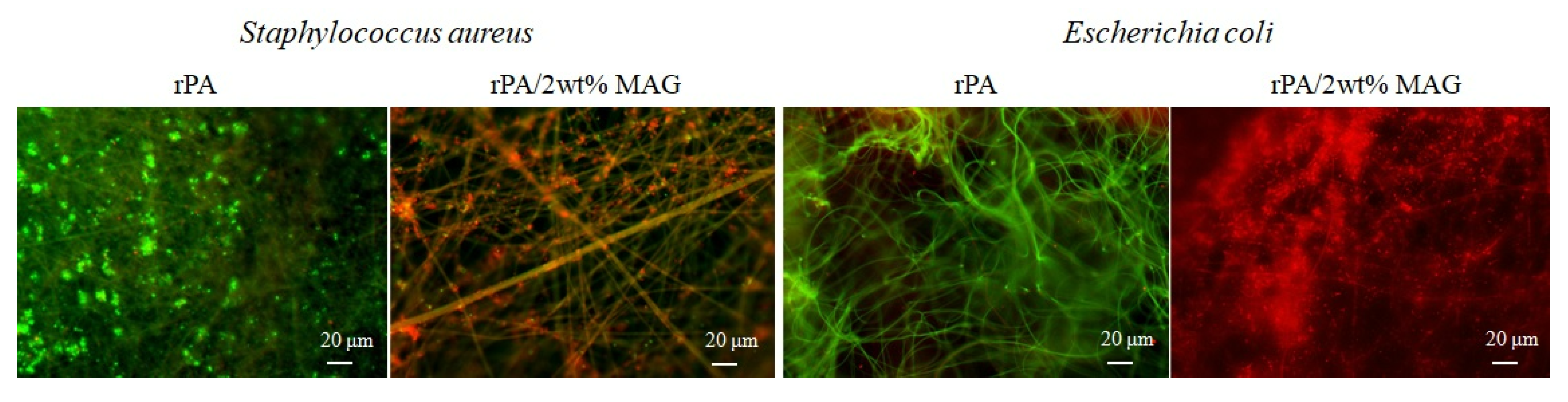 Nanomaterials 12 00050 g009