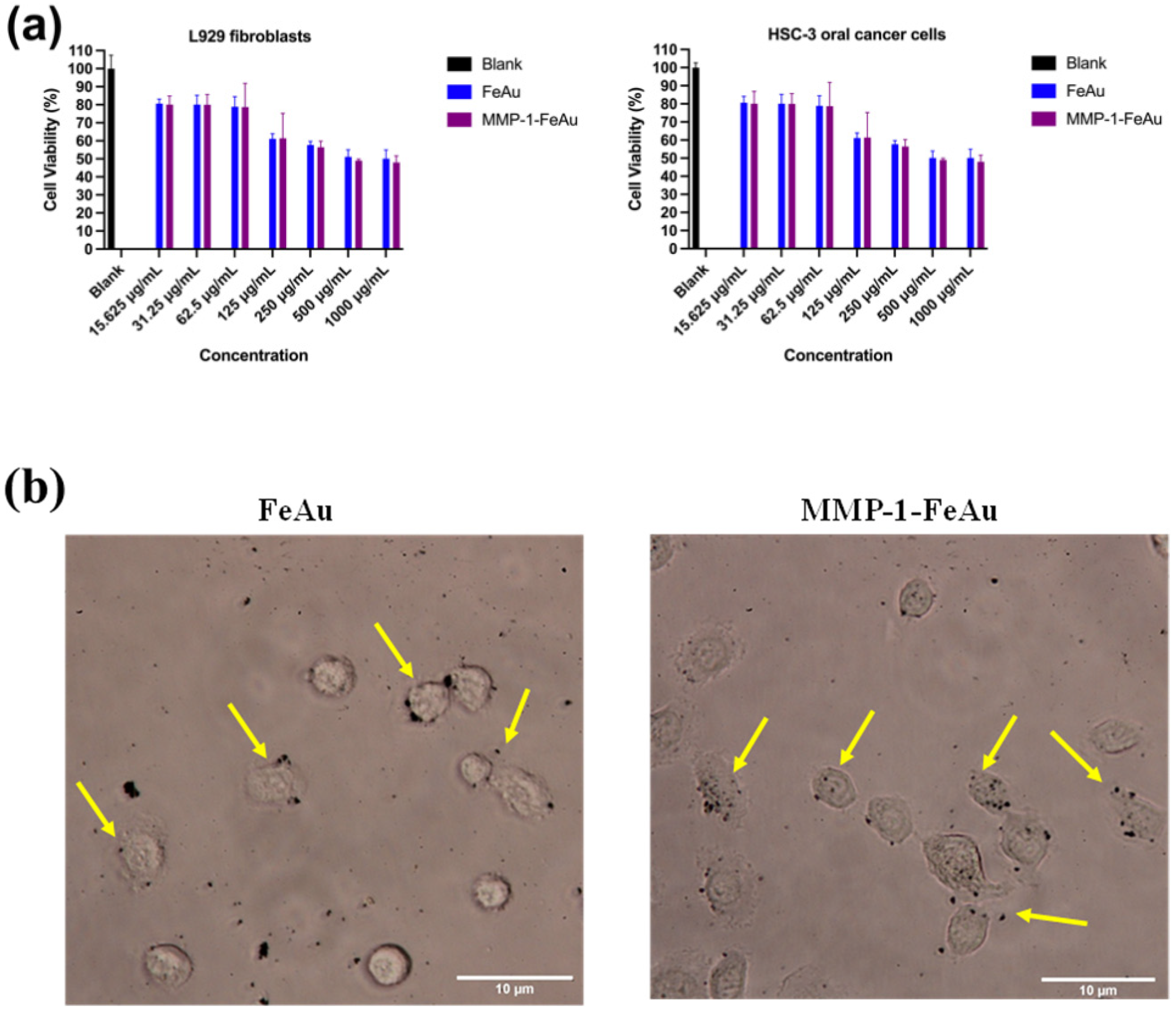 Nanomaterials 12 00061 g005a
