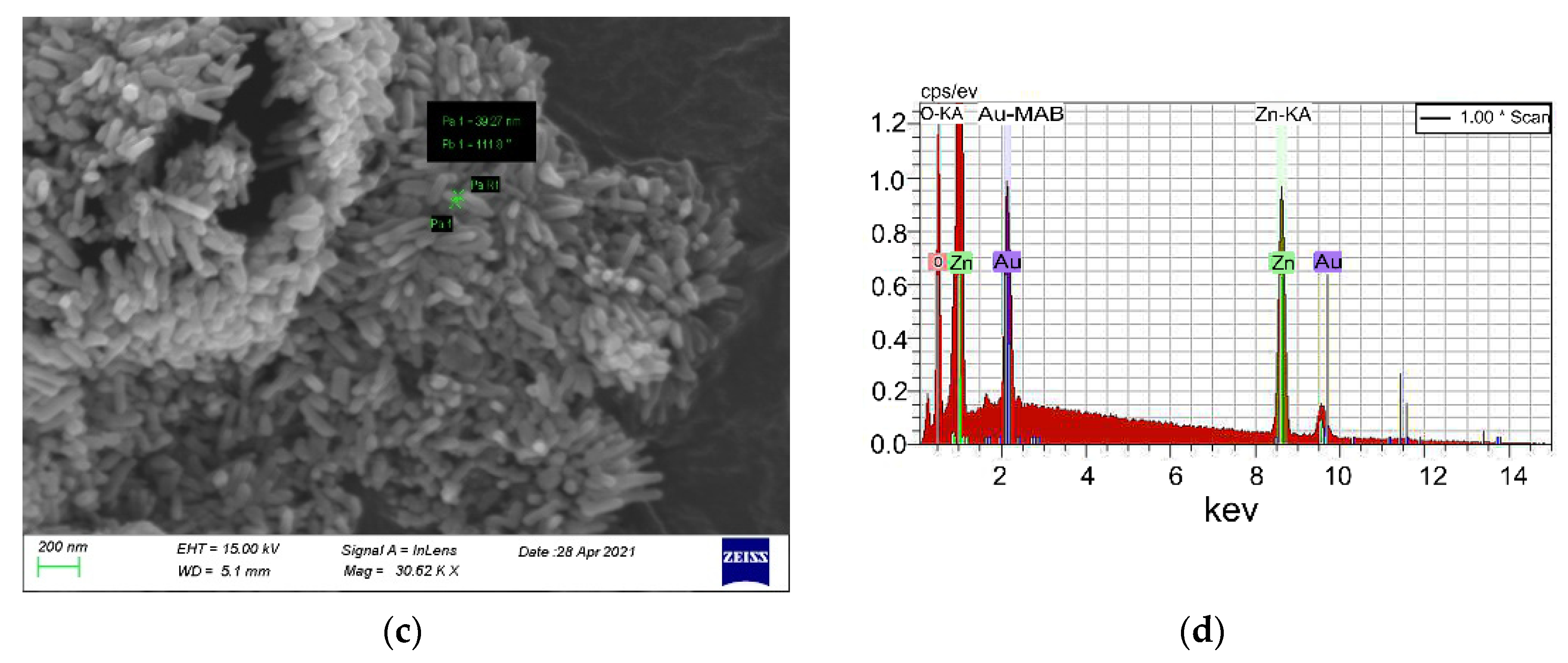 Nanomaterials 12 00069 g005b