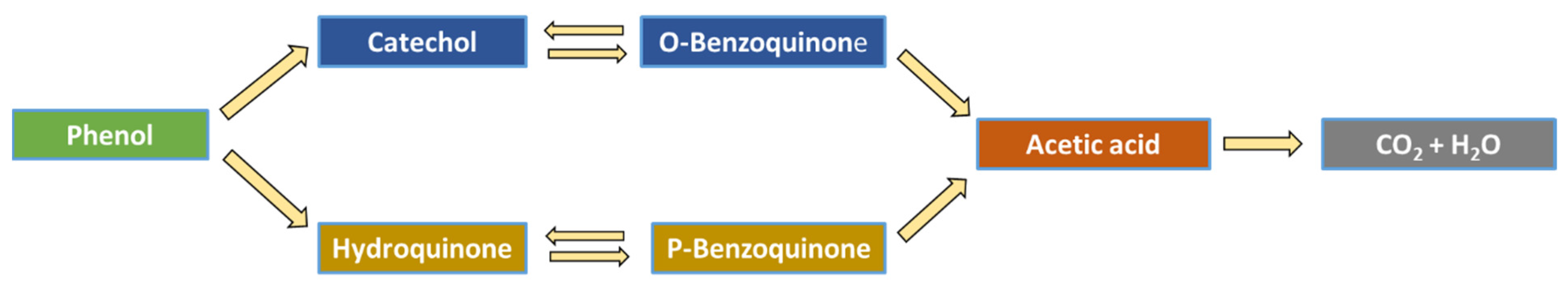 Nanomaterials 12 00069 g011