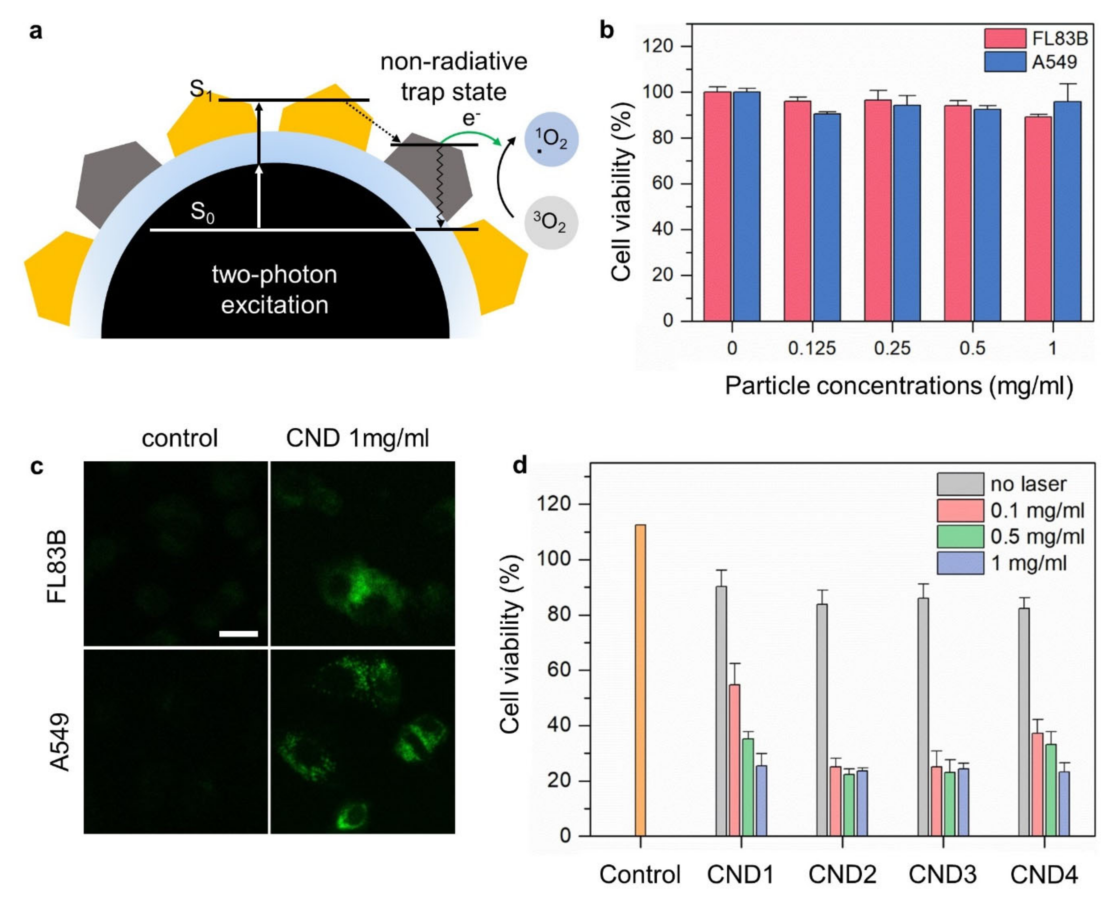 Nanomaterials 12 00070 g005