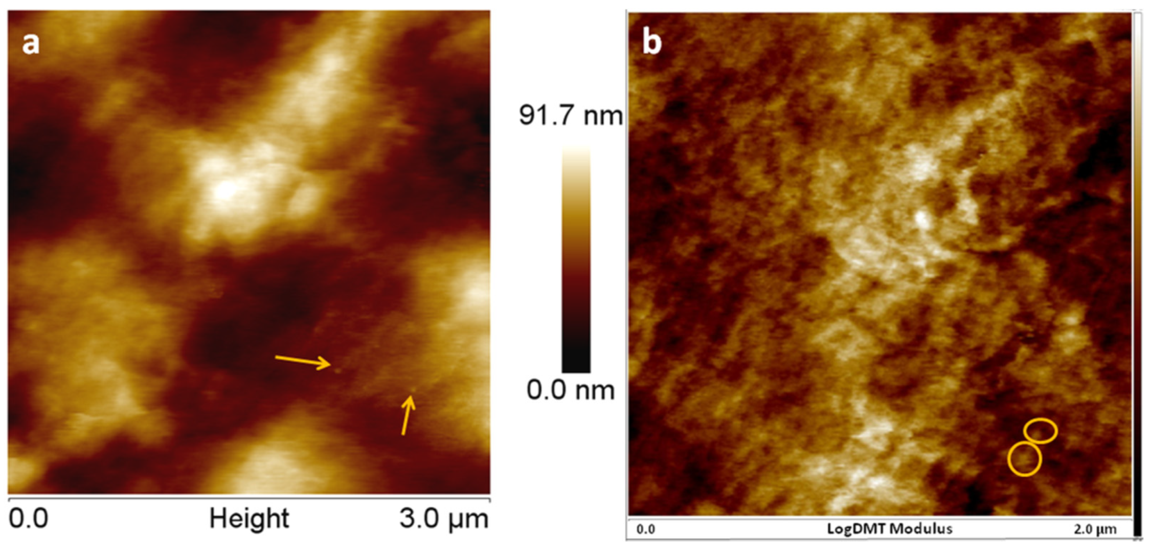 Nanomaterials 12 00095 g007 Nanomaterials 12 00095 g007