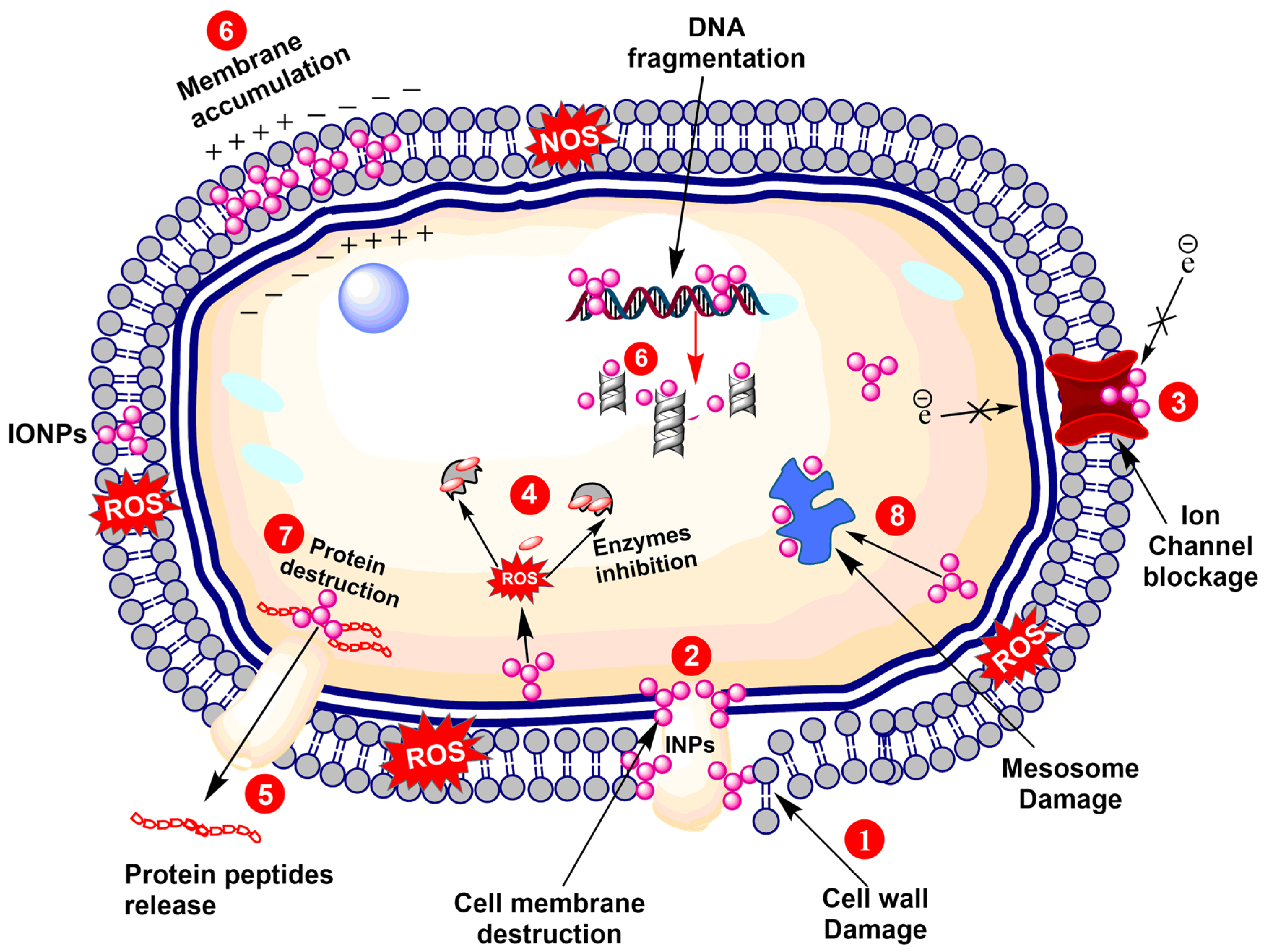 Nanomaterials 12 00130 g001