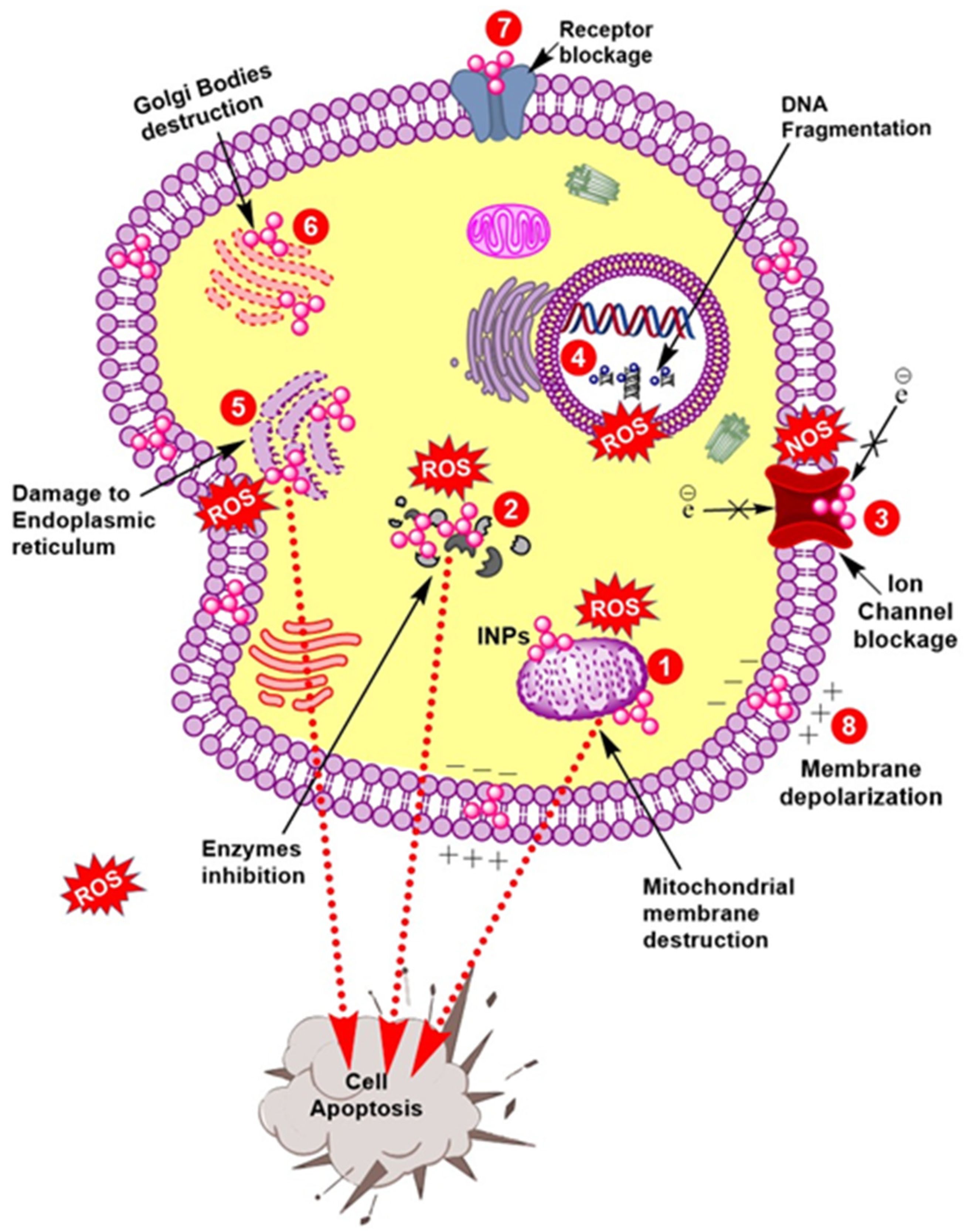 Nanomaterials 12 00130 g002