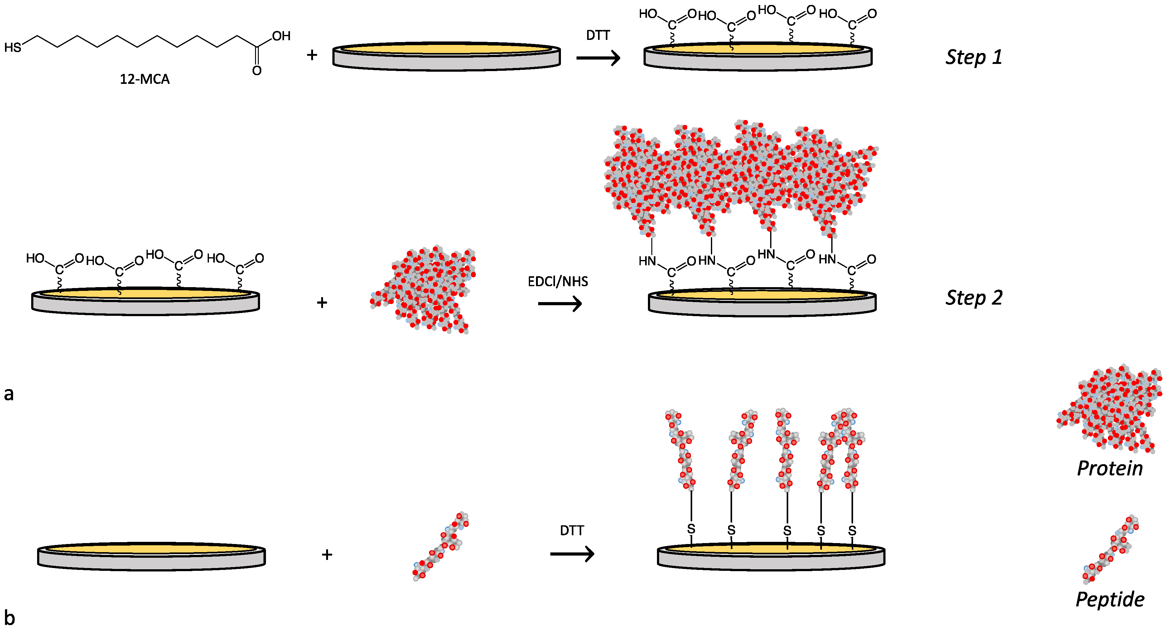 Nanomaterials 12 00166 g001