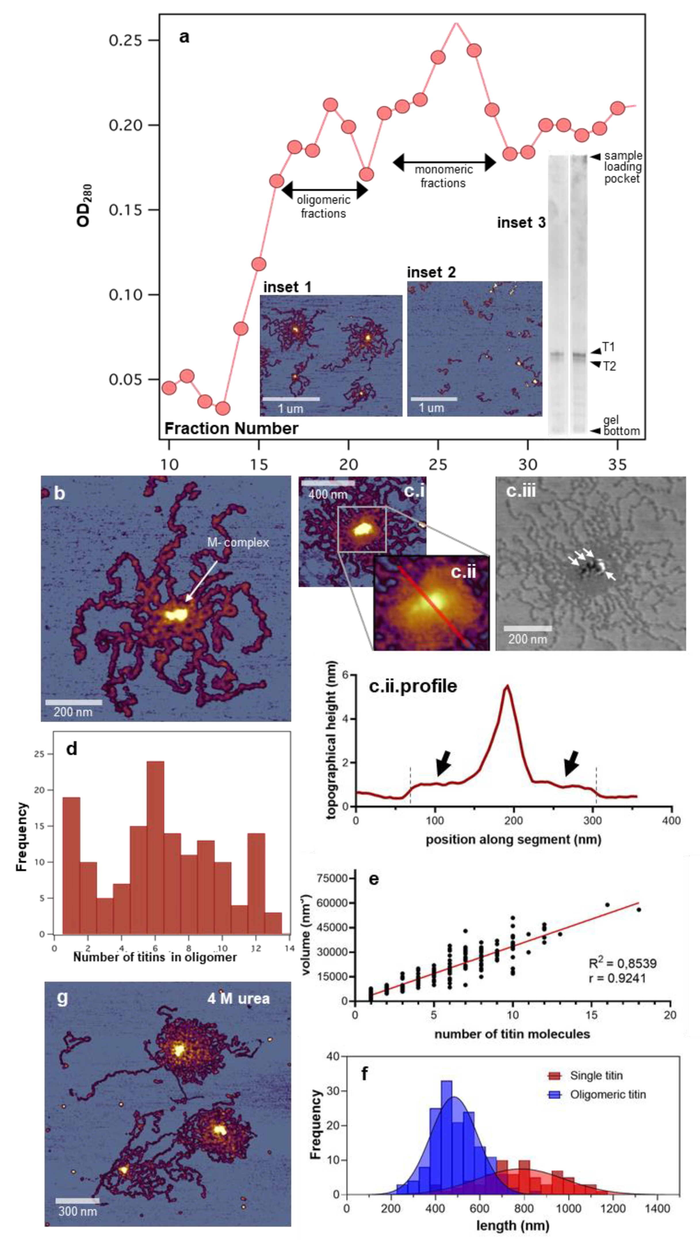 Nanomaterials 12 00178 g001