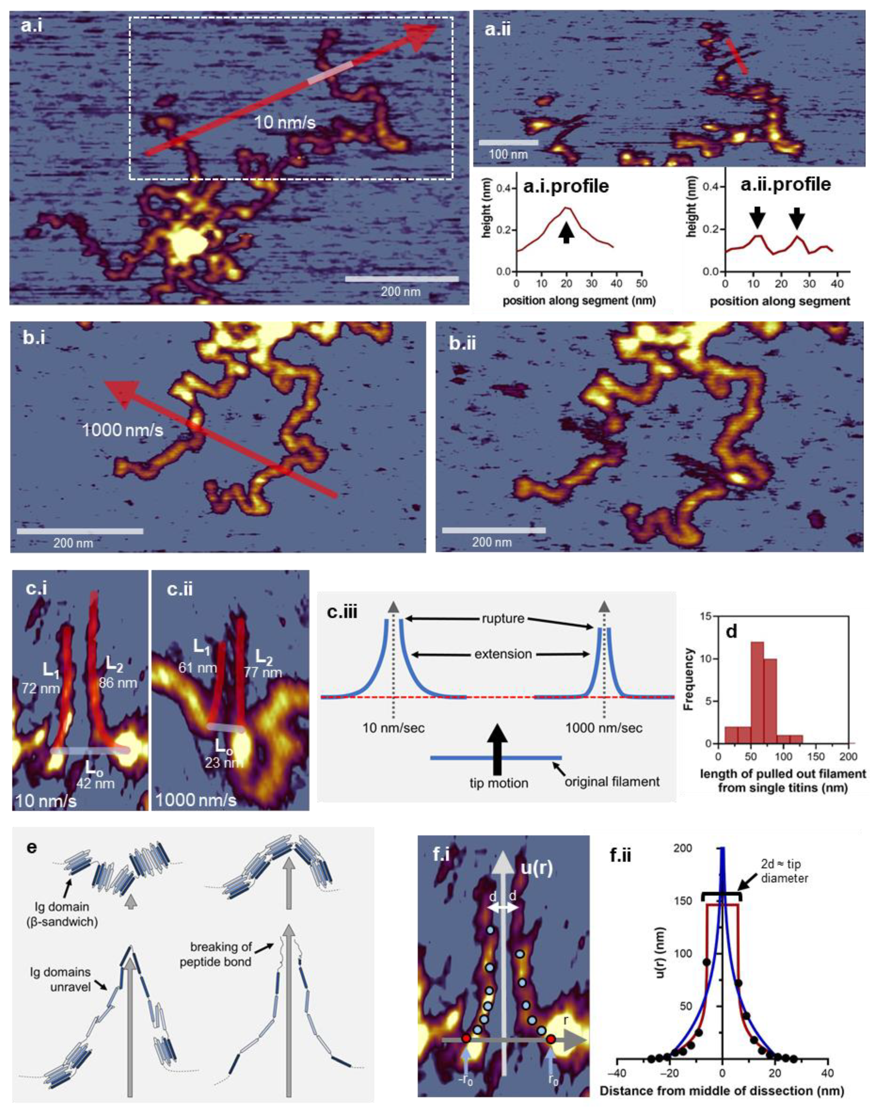 Nanomaterials 12 00178 g003
