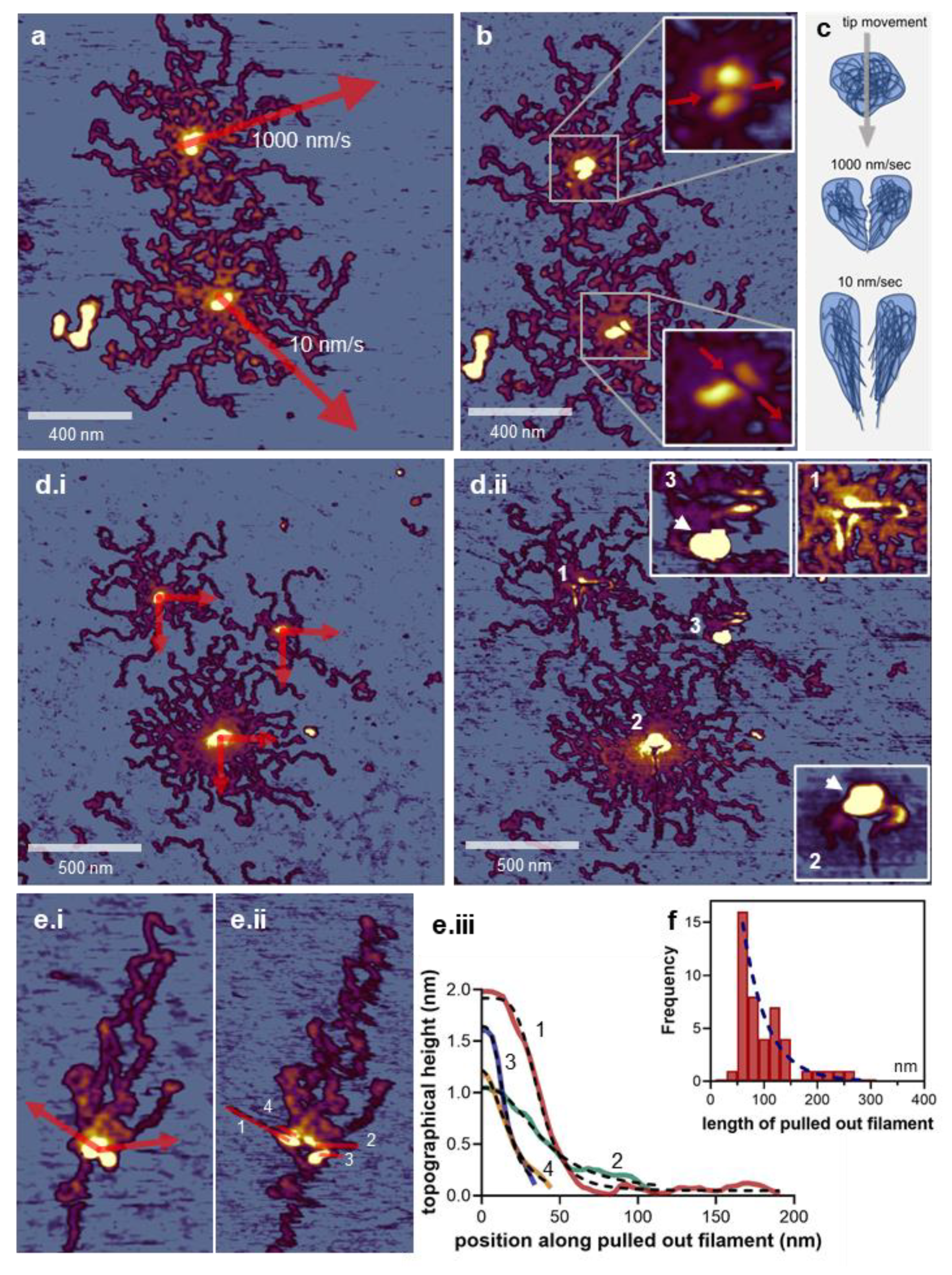 Nanomaterials 12 00178 g004