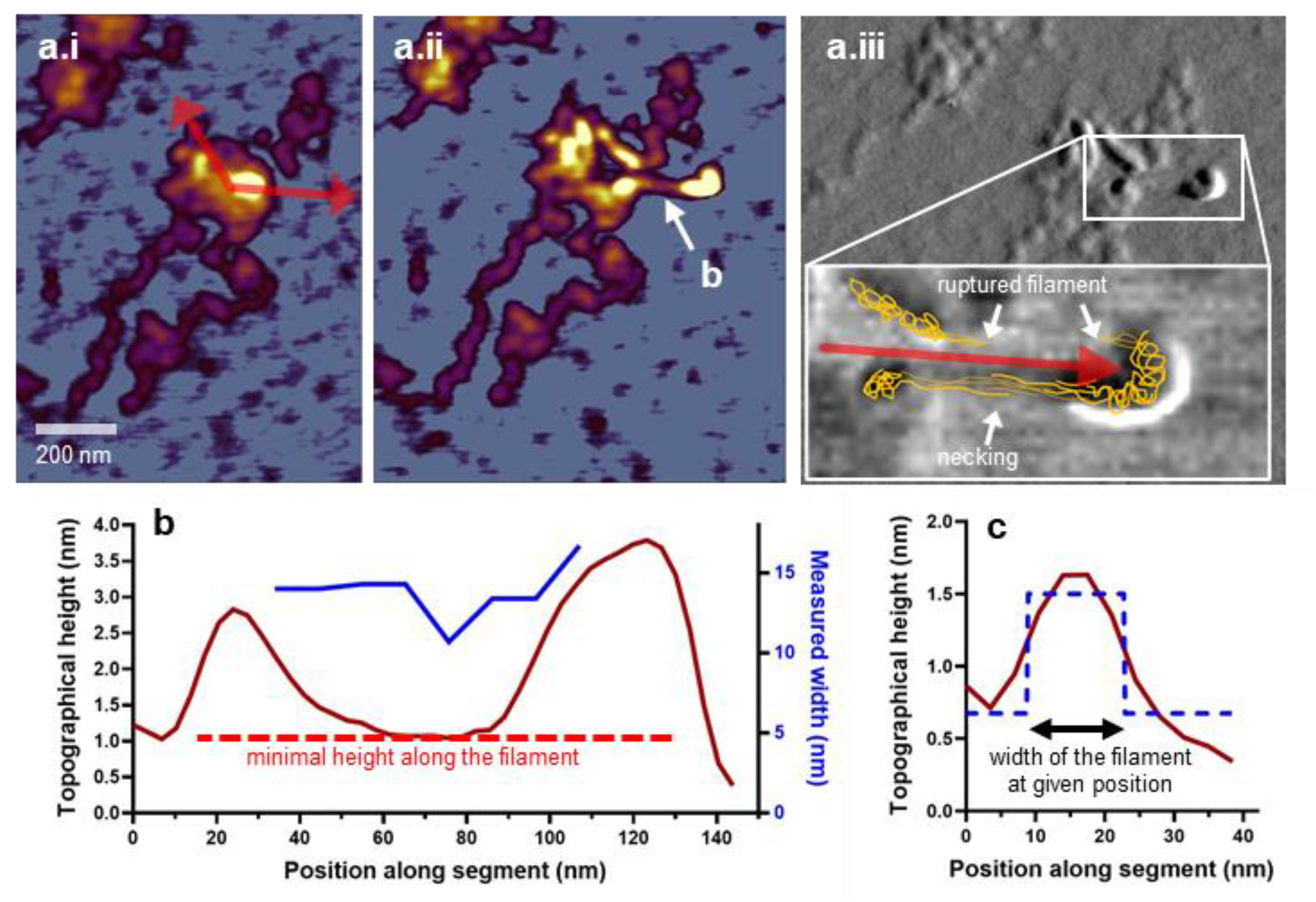 Nanomaterials 12 00178 g006