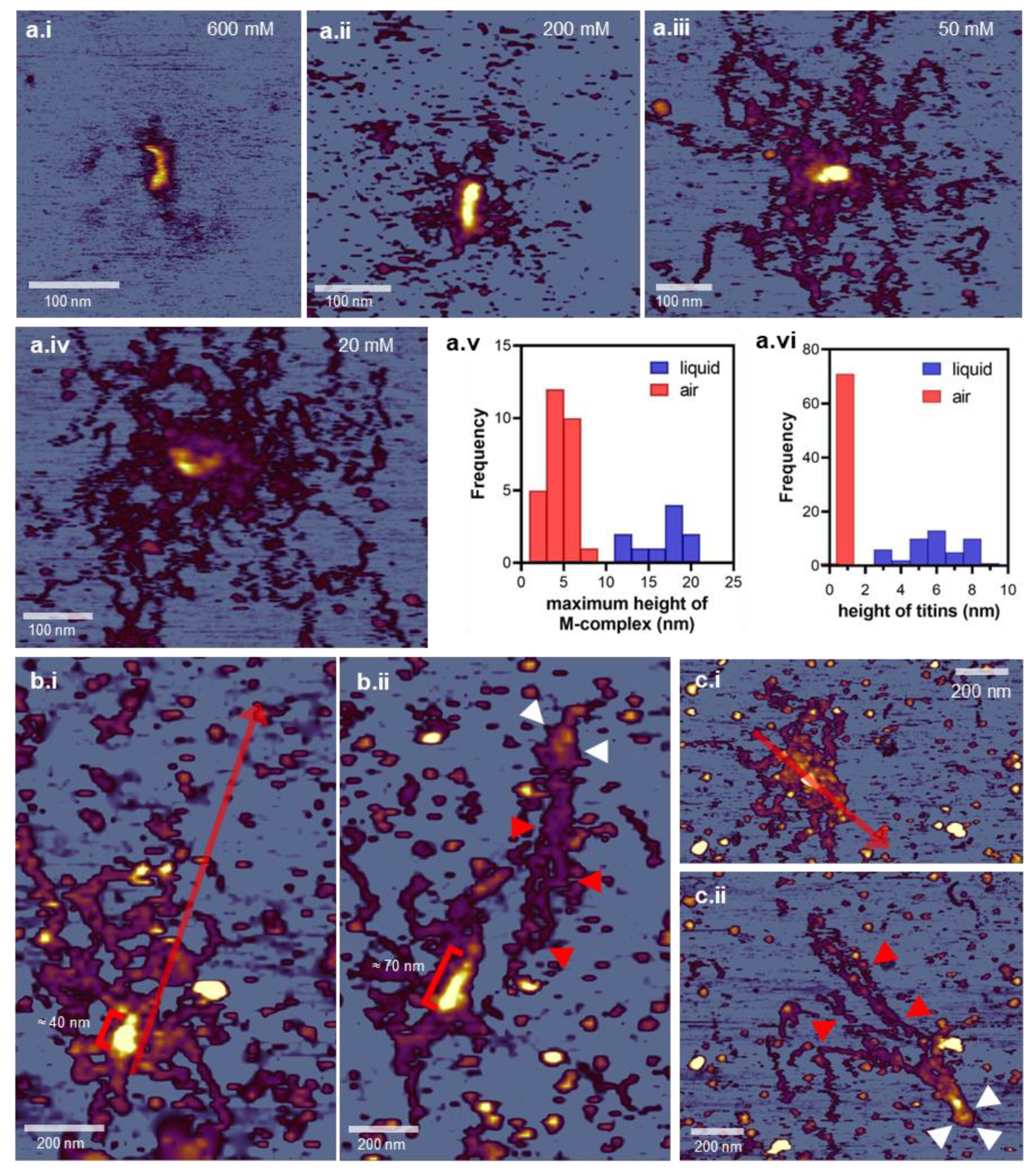 Nanomaterials 12 00178 g007