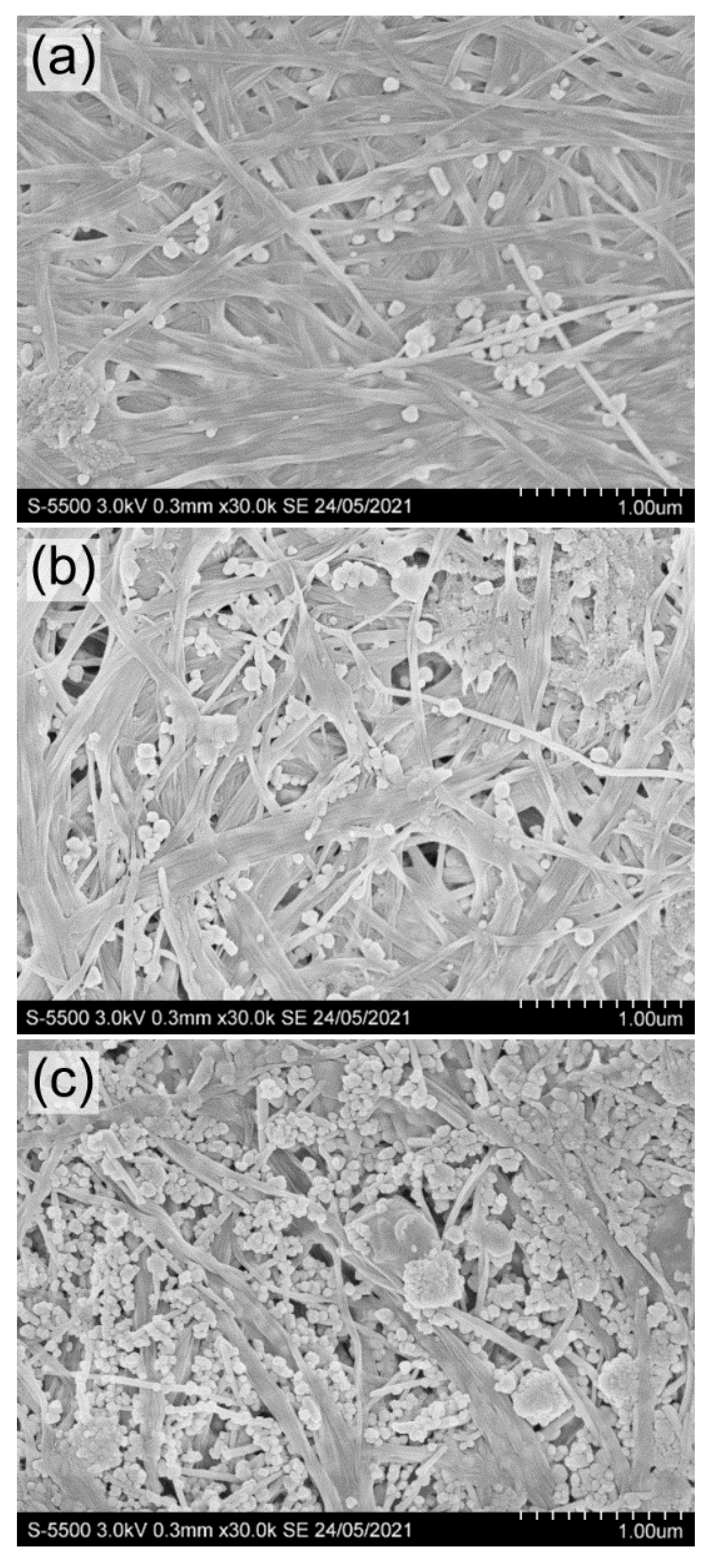 Nanomaterials | Free Full-Text | Bacterial Cellulose (BC) And BC ...