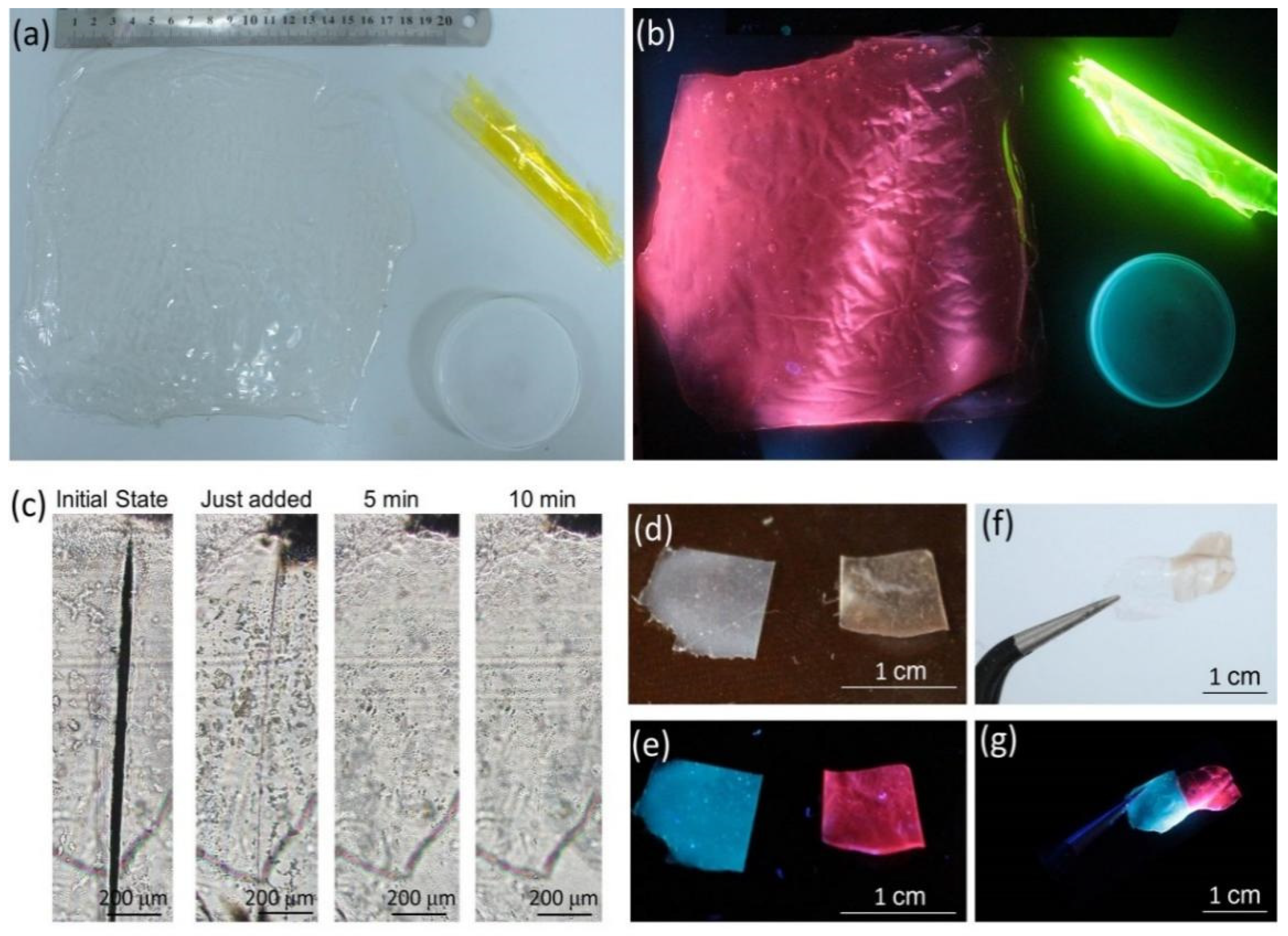 Nanomaterials 12 00204 g004