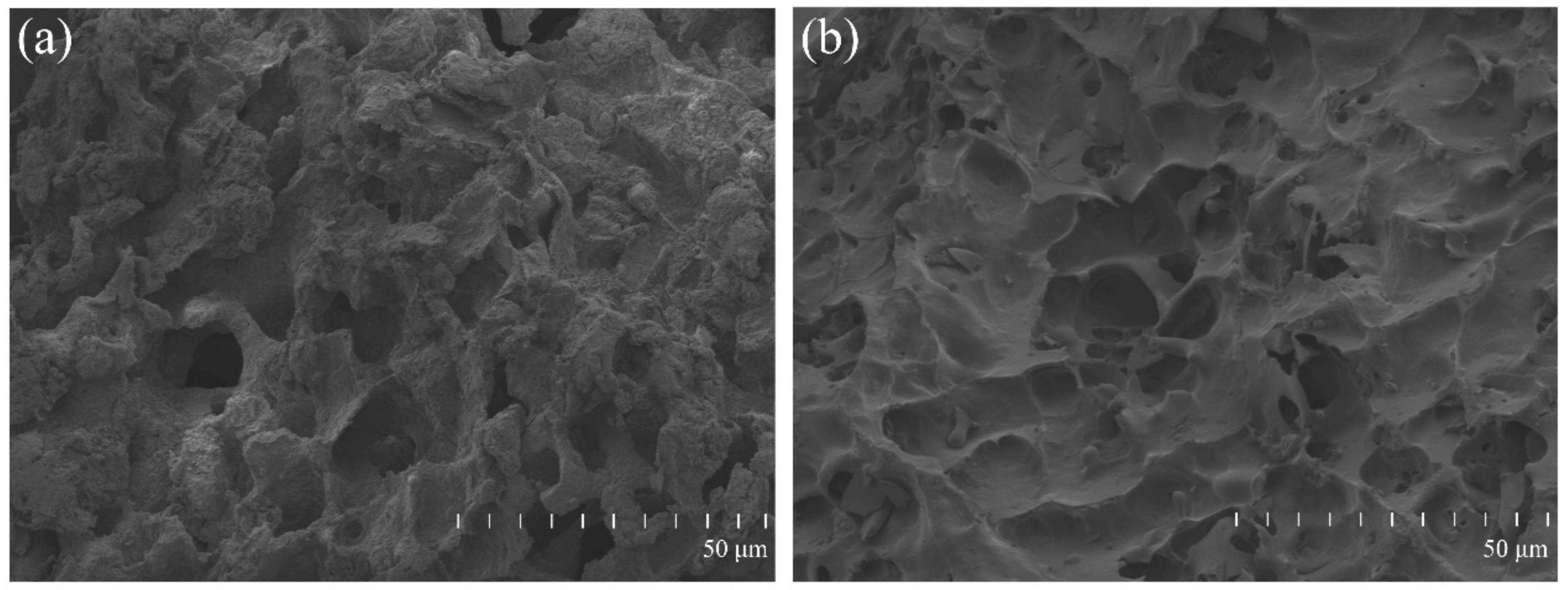Nanomaterials 12 00212 g002