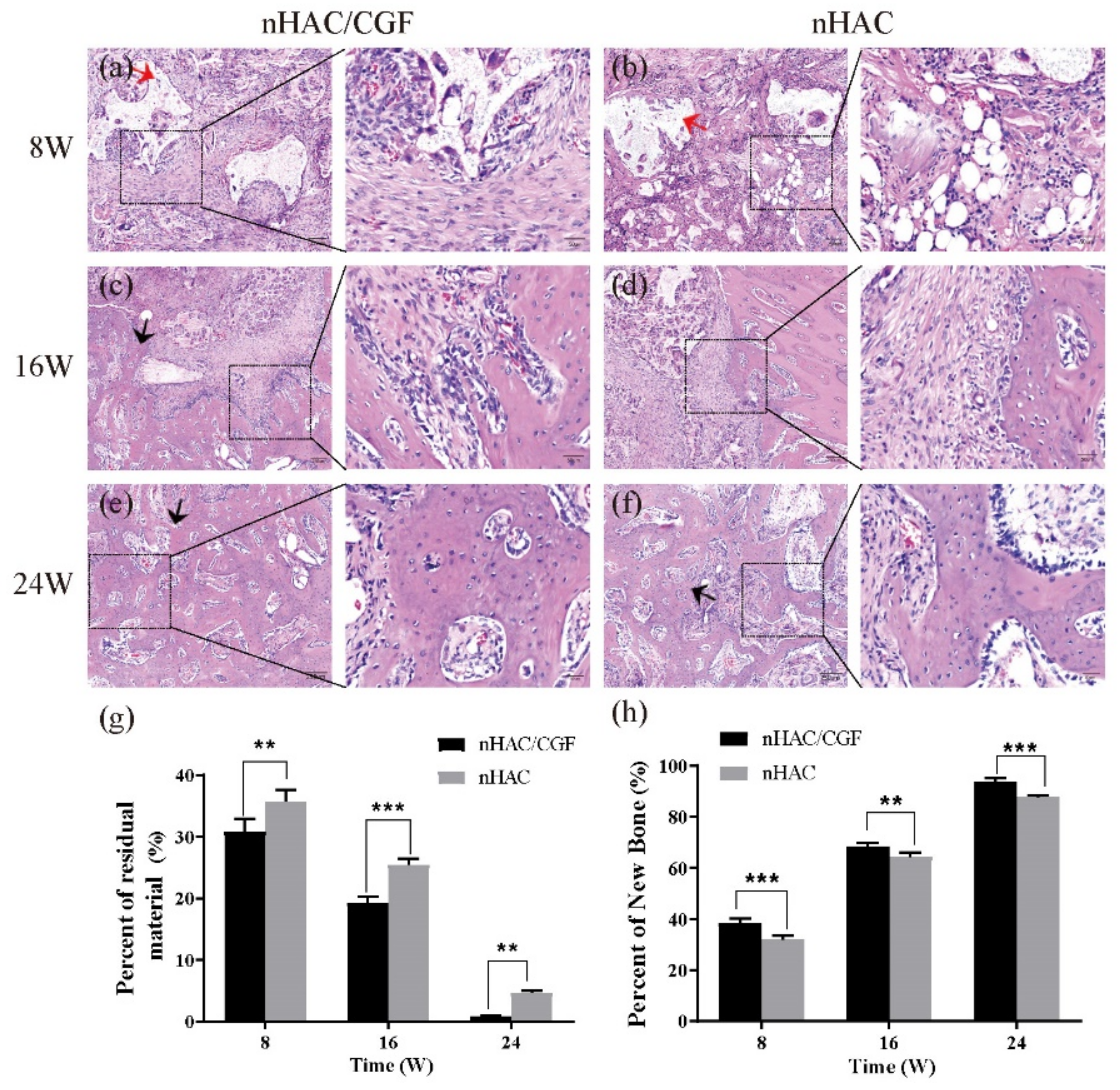 Nanomaterials 12 00212 g007