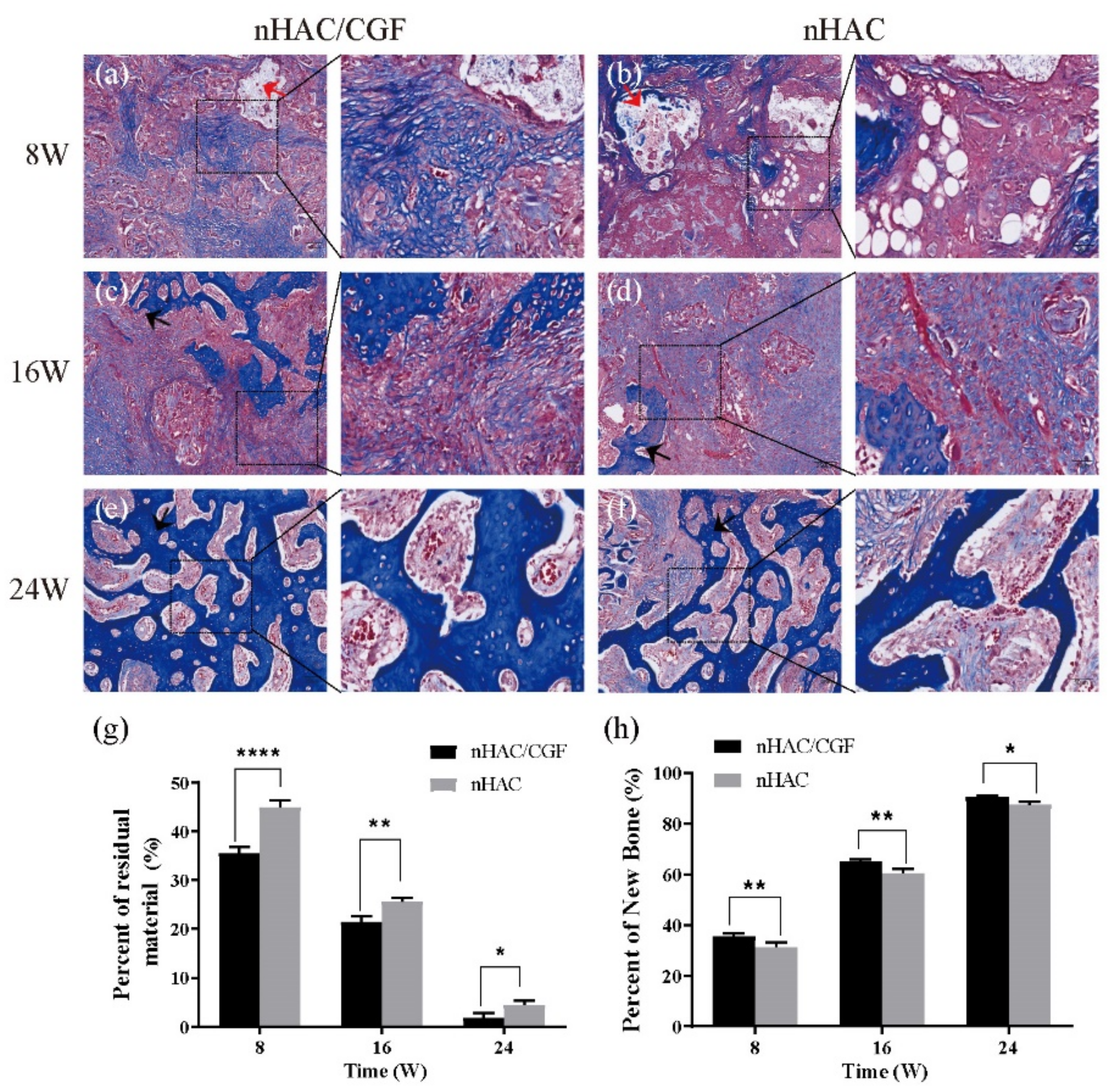 Nanomaterials 12 00212 g008