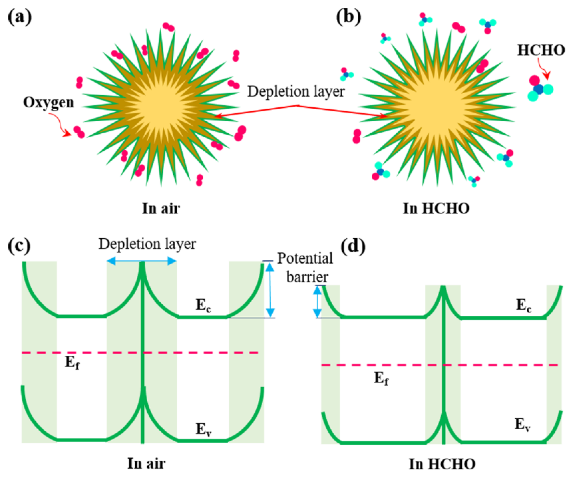 Nanomaterials 12 00228 g008