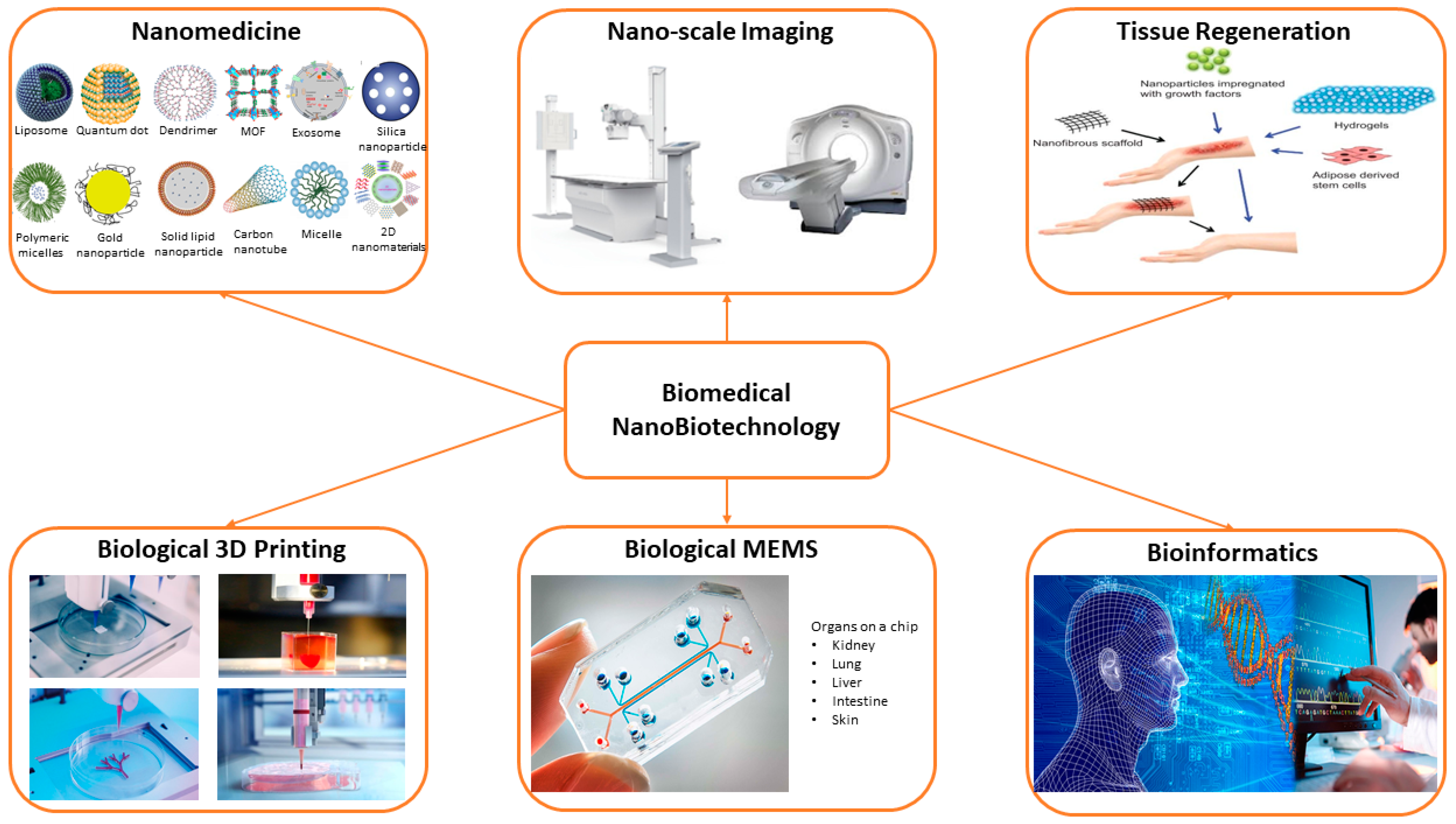 Nanomaterials | Free Full-Text | Biomedical Applications of