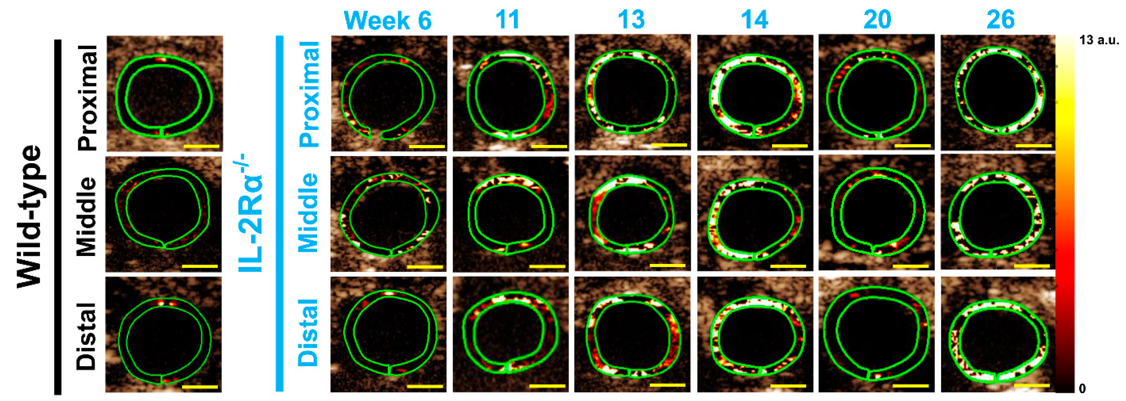 Nanomaterials 12 00280 g002 Nanomaterials 12 00280 g002