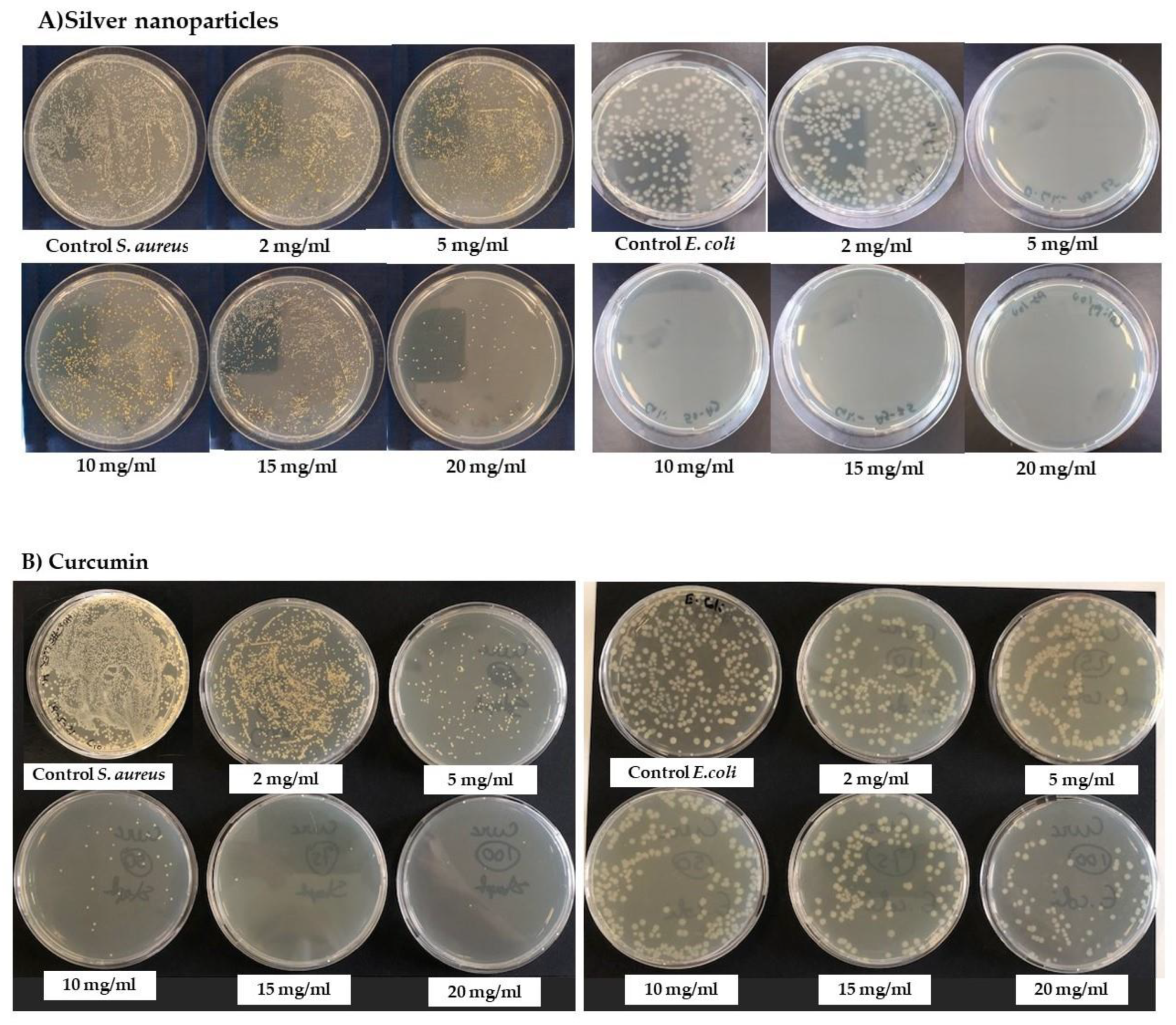 Nanomaterials 12 00283 g006