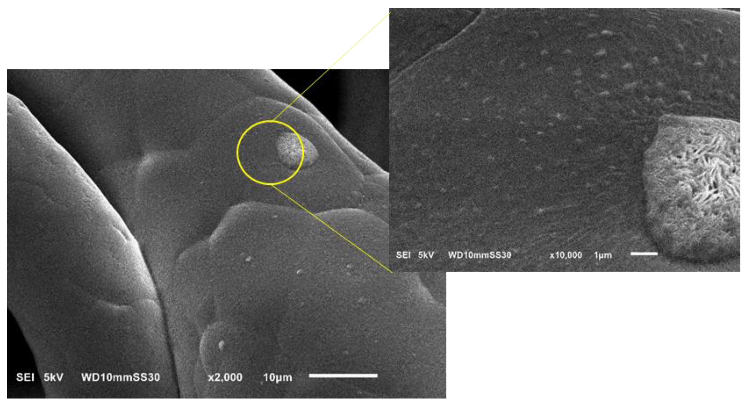 Nanomaterials 12 00283 g018