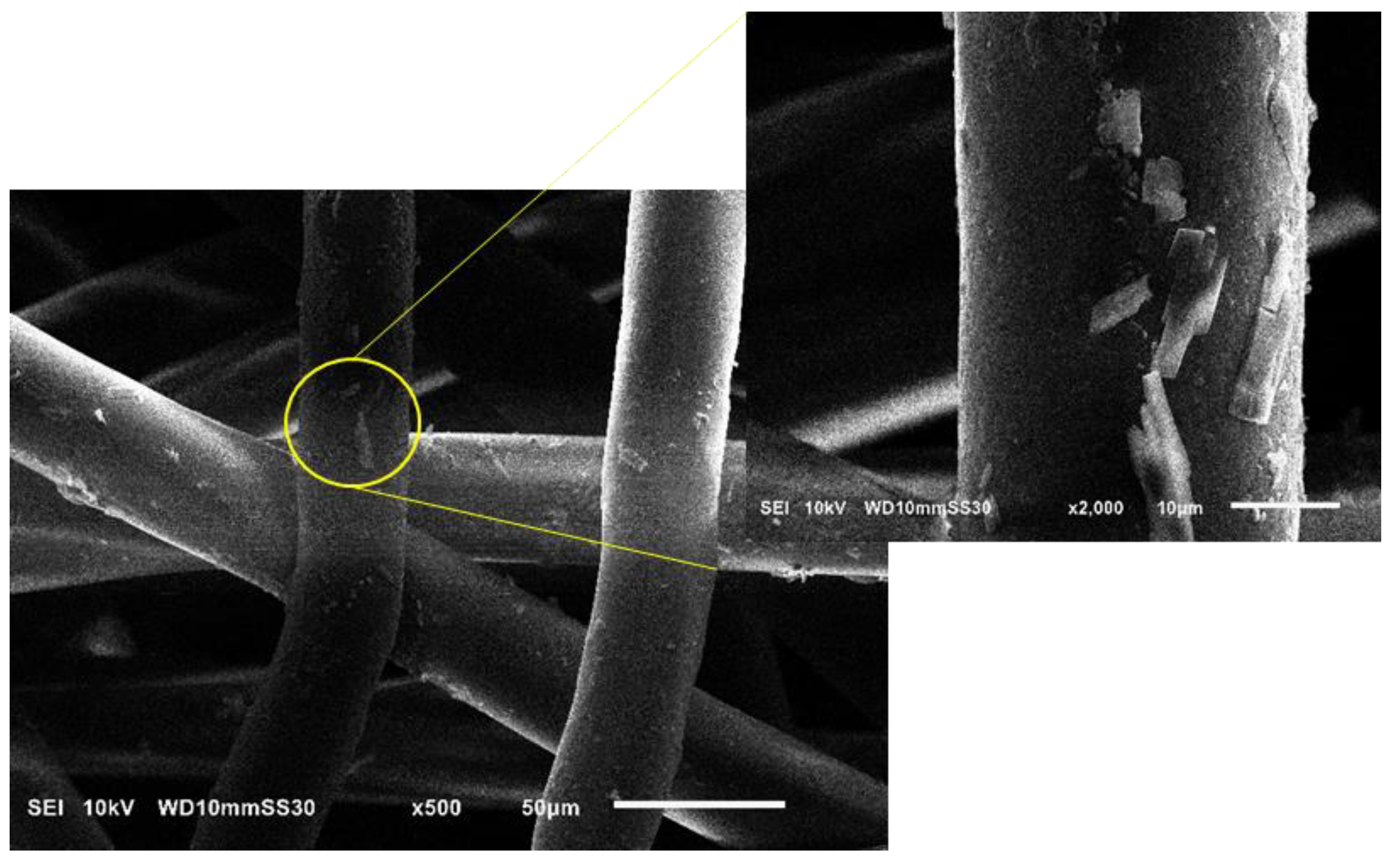 Nanomaterials 12 00283 g019