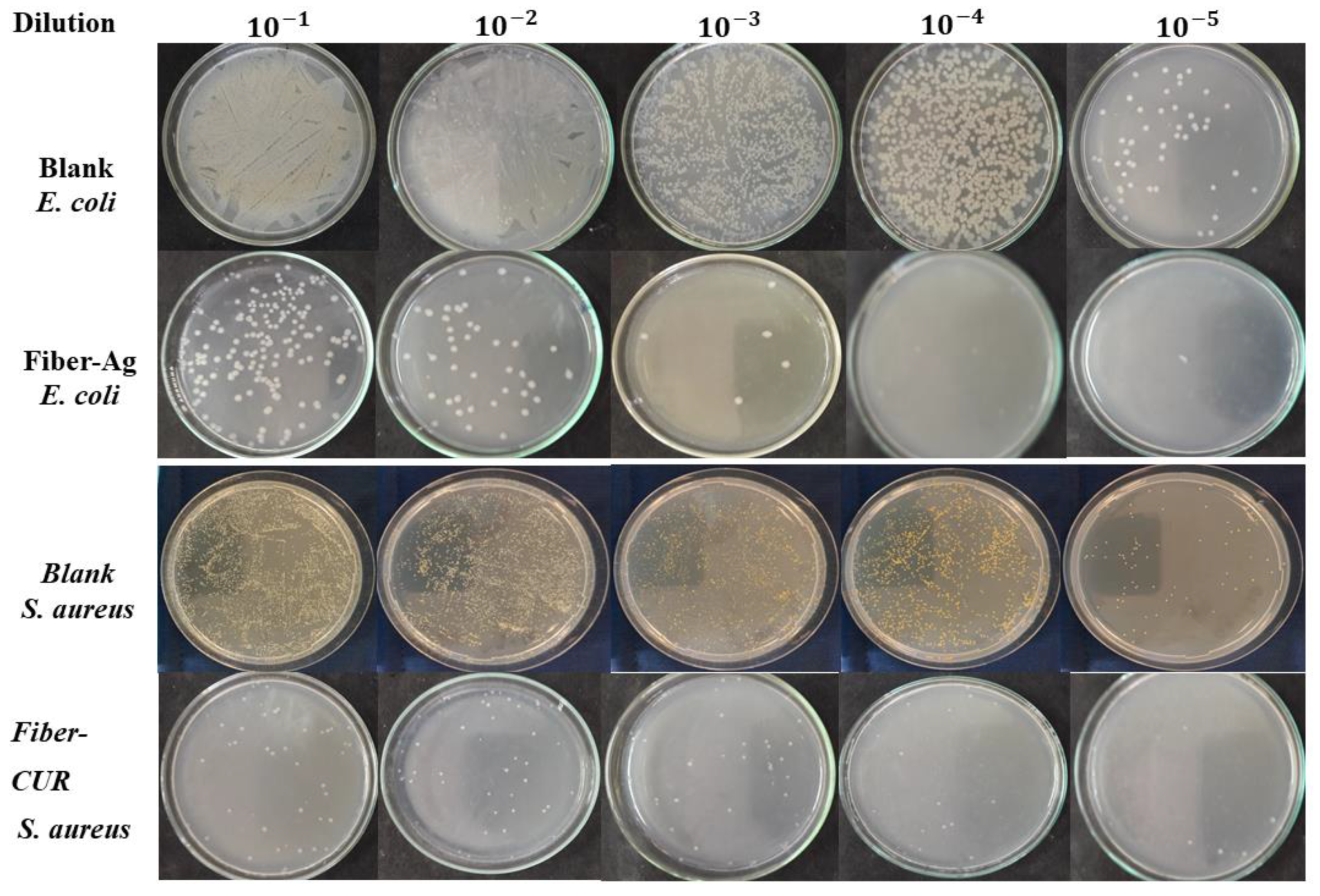 Nanomaterials 12 00283 g022