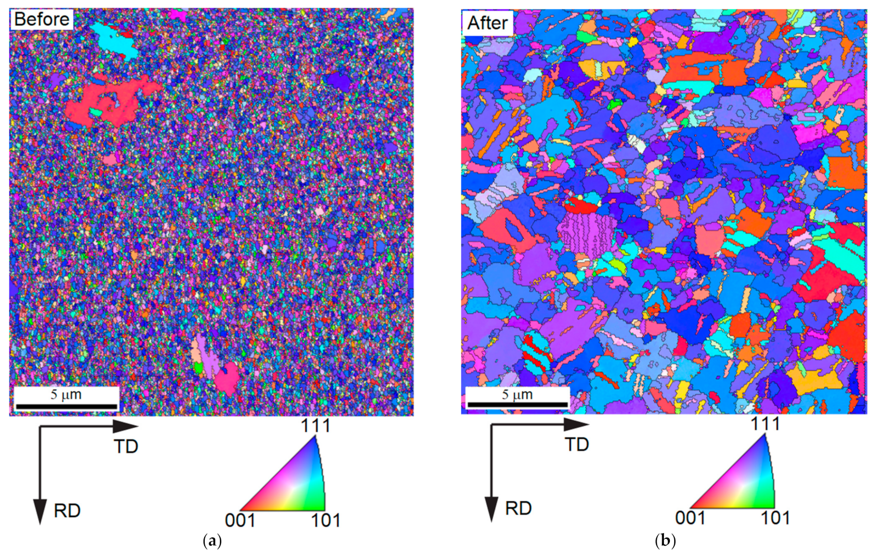 Nanomaterials 12 00329 g017