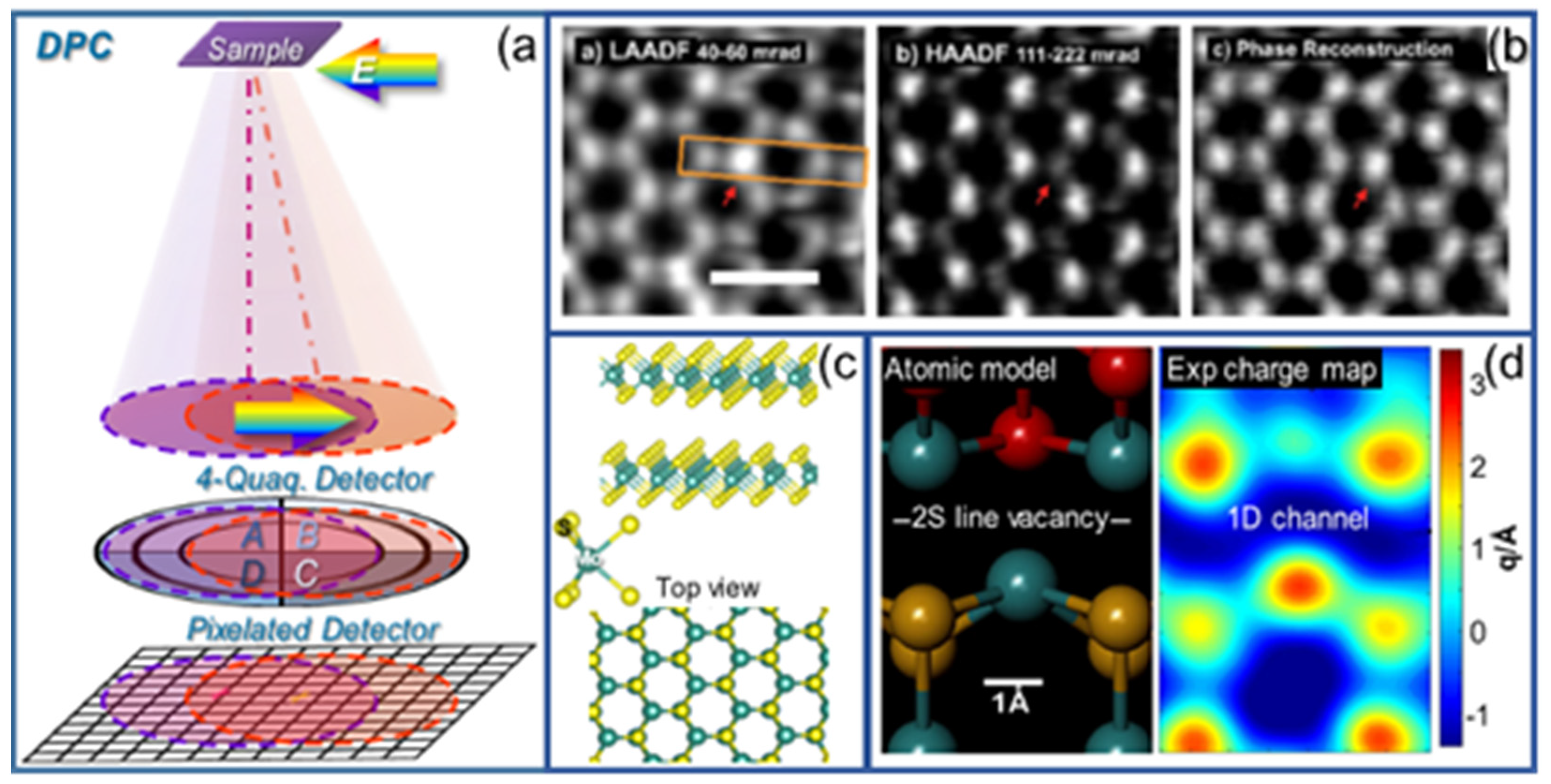 Nanomaterials 12 00337 g003