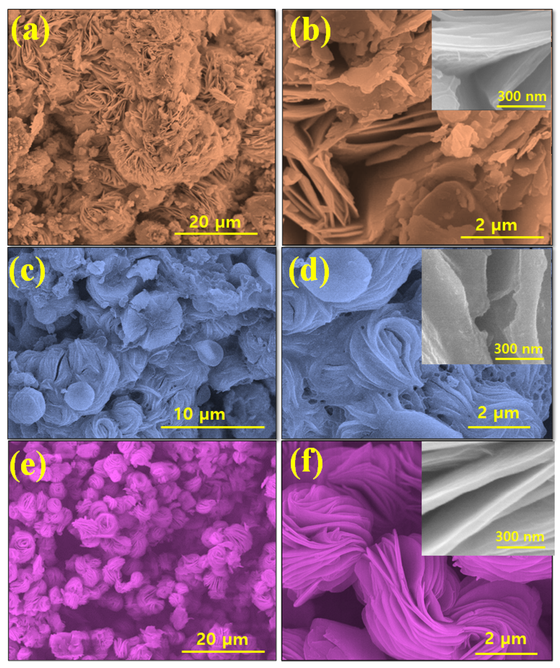 Nanomaterials 12 00339 g001